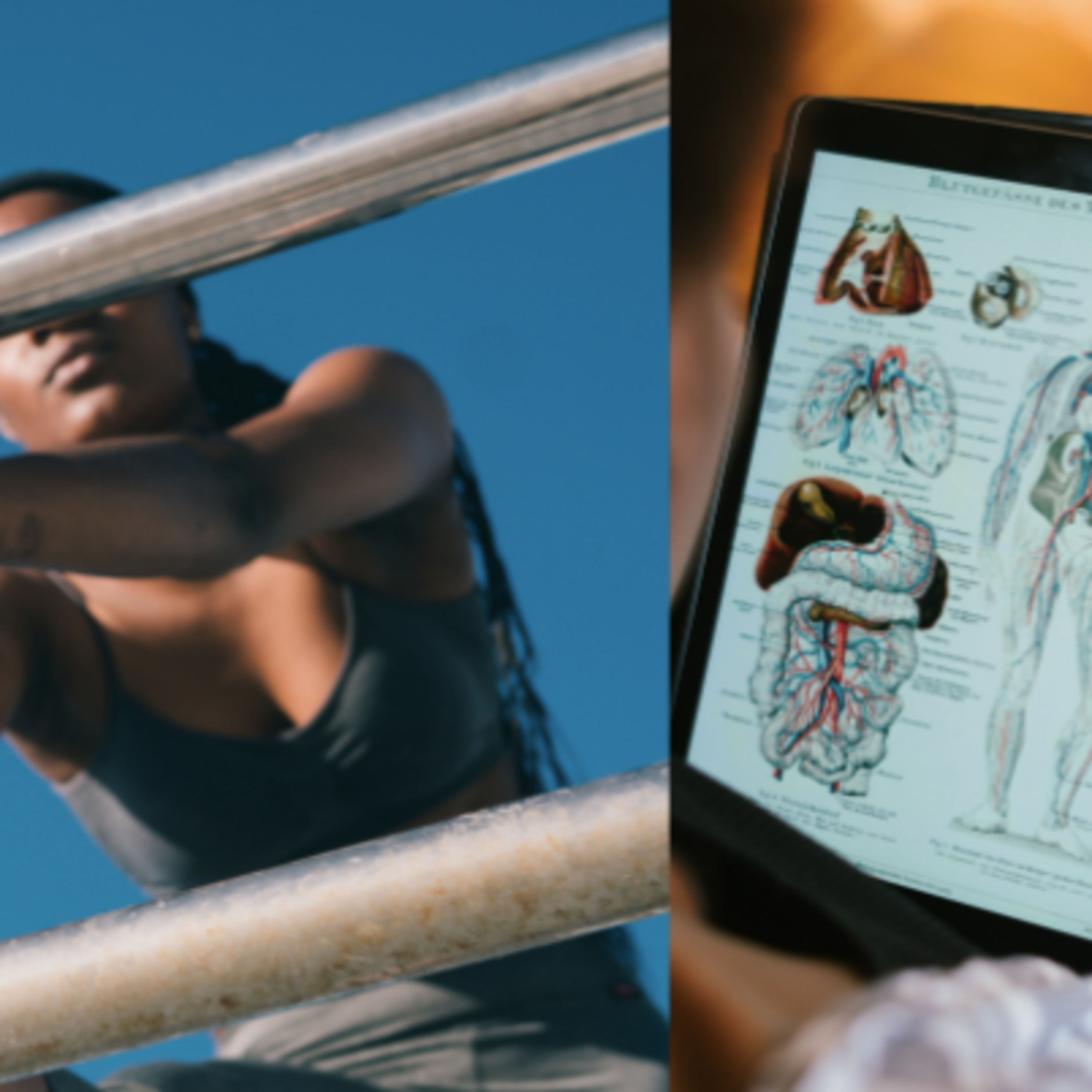 Episode #1: The Importance of Mobility Part 1 - Anatomy/Physiology