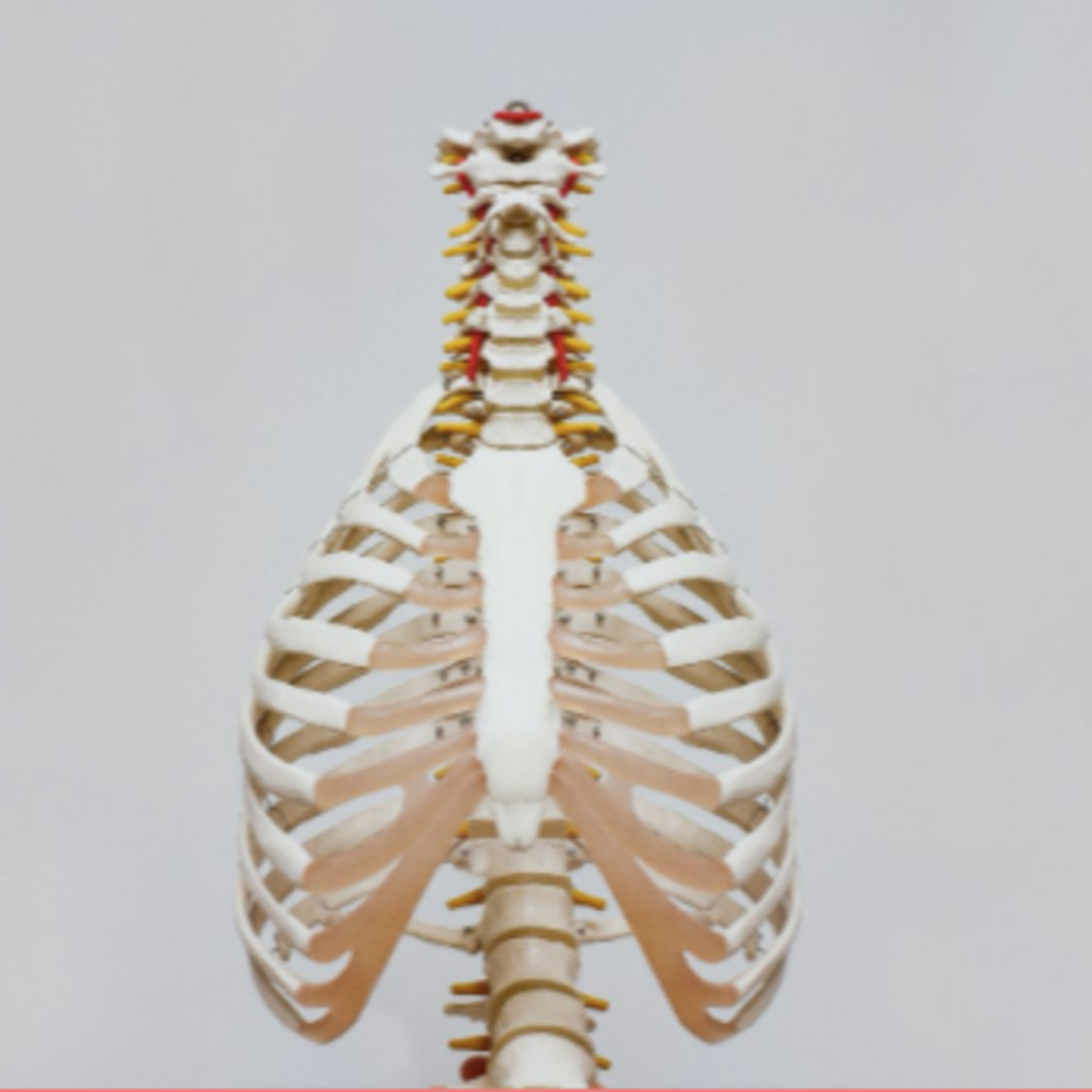 Episode #3: Breathing Part 1 - Structural Relations and Integration