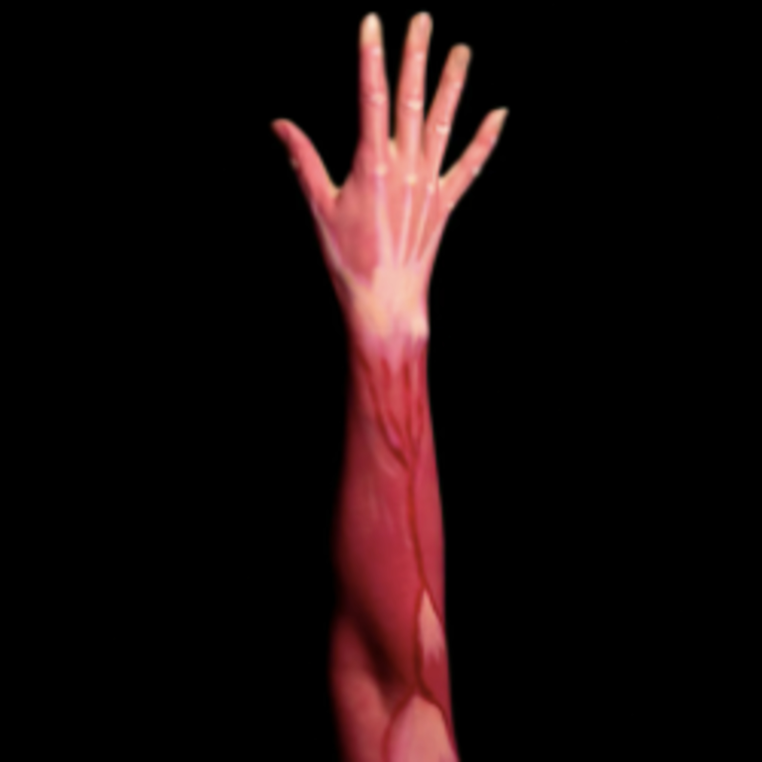 Episode #10: Language of Understanding, Conceptualizing Tissue Movement and Benefits/Limitations of Postural Models