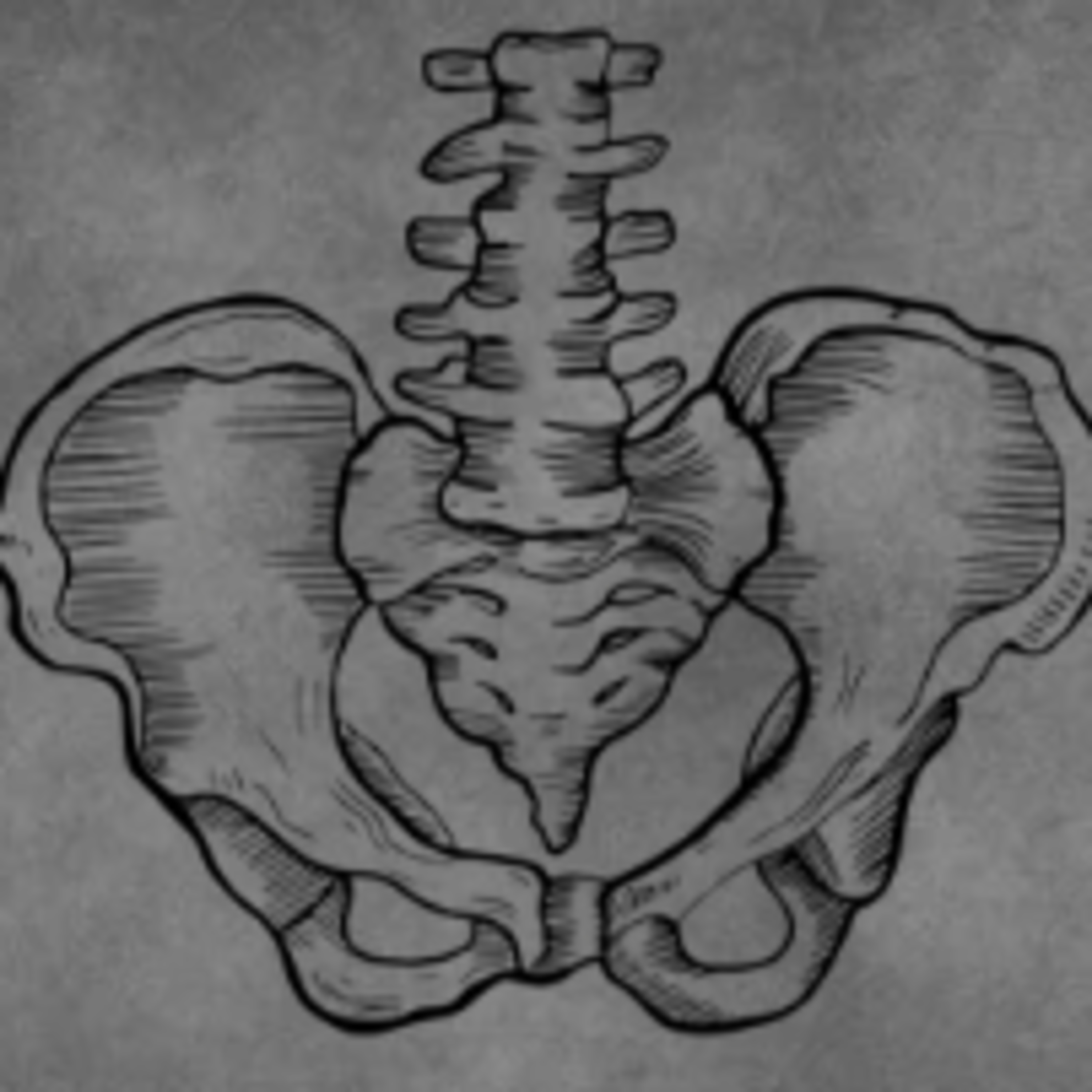 Episode #17: The Lumbo-Pelvic Region