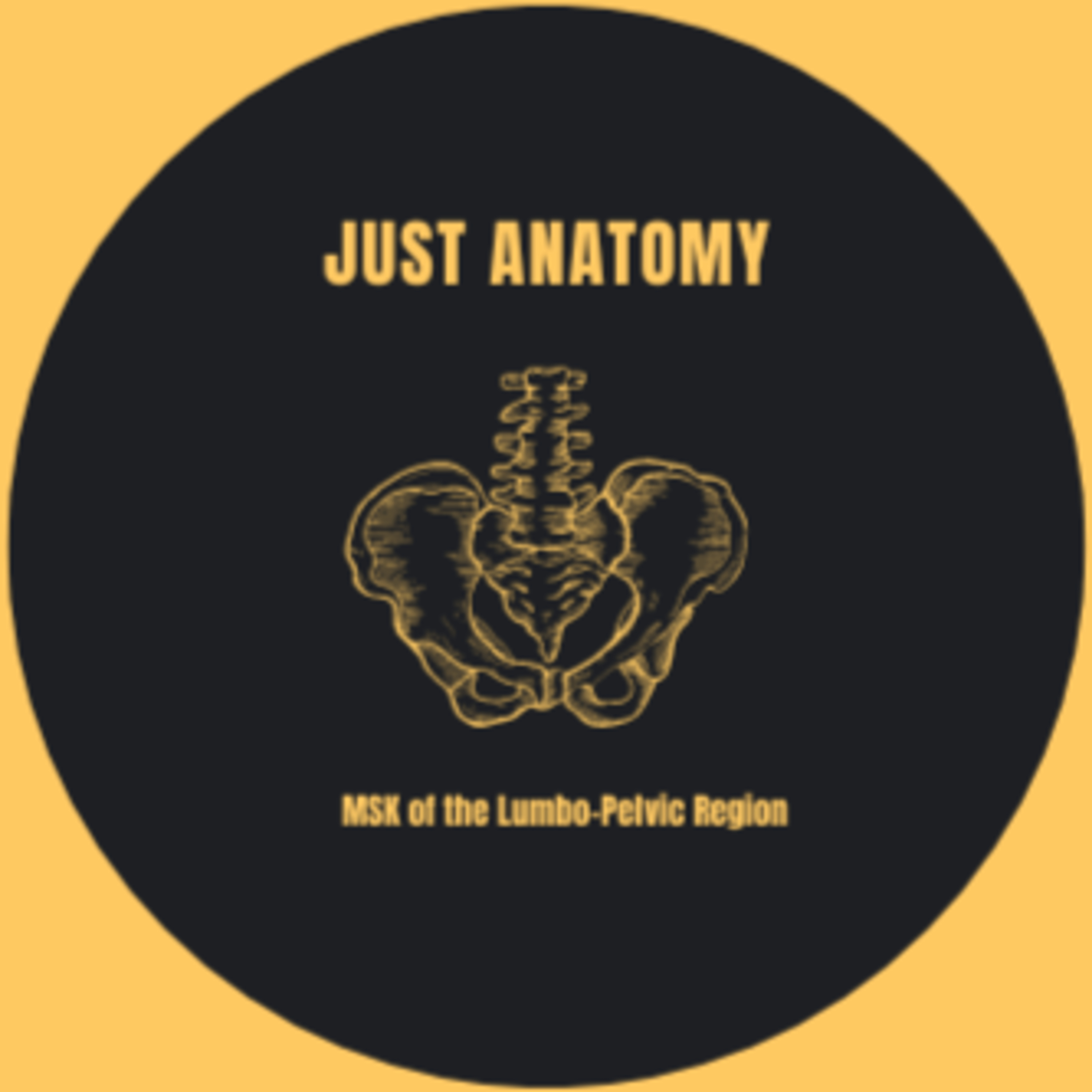 Episode #18: "Just Anatomy"; MSK of the Lumbo-Pelvic Region