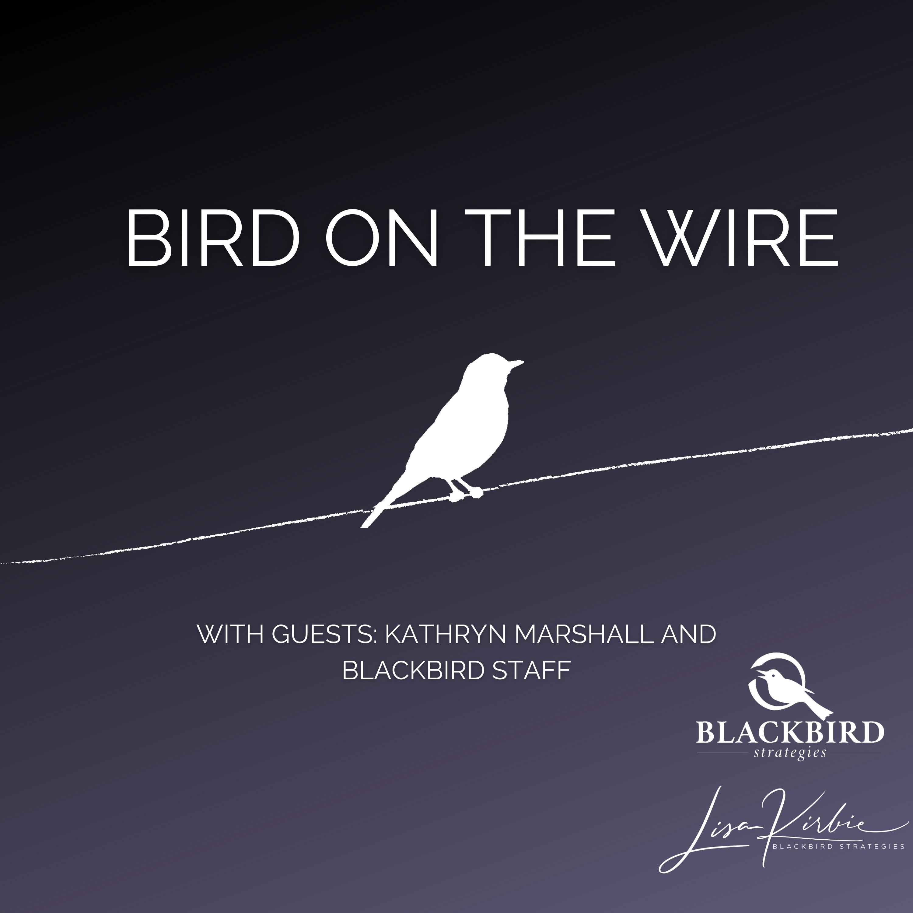 Bird on the Wire