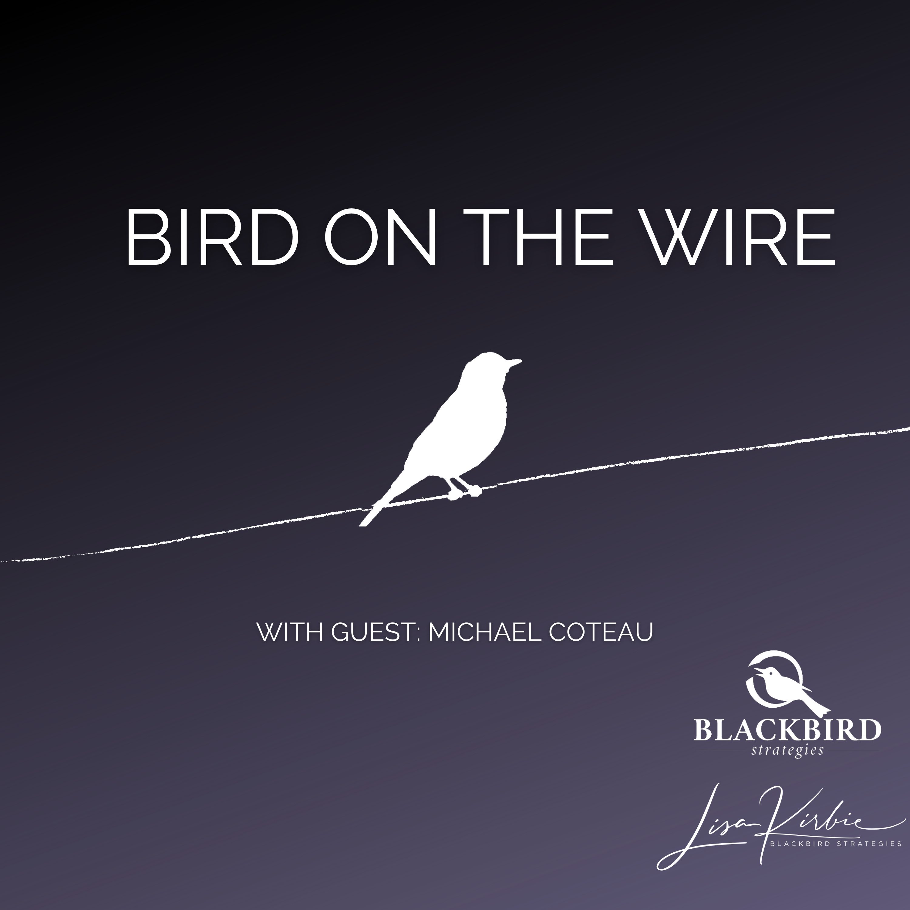 Bird on the Wire
