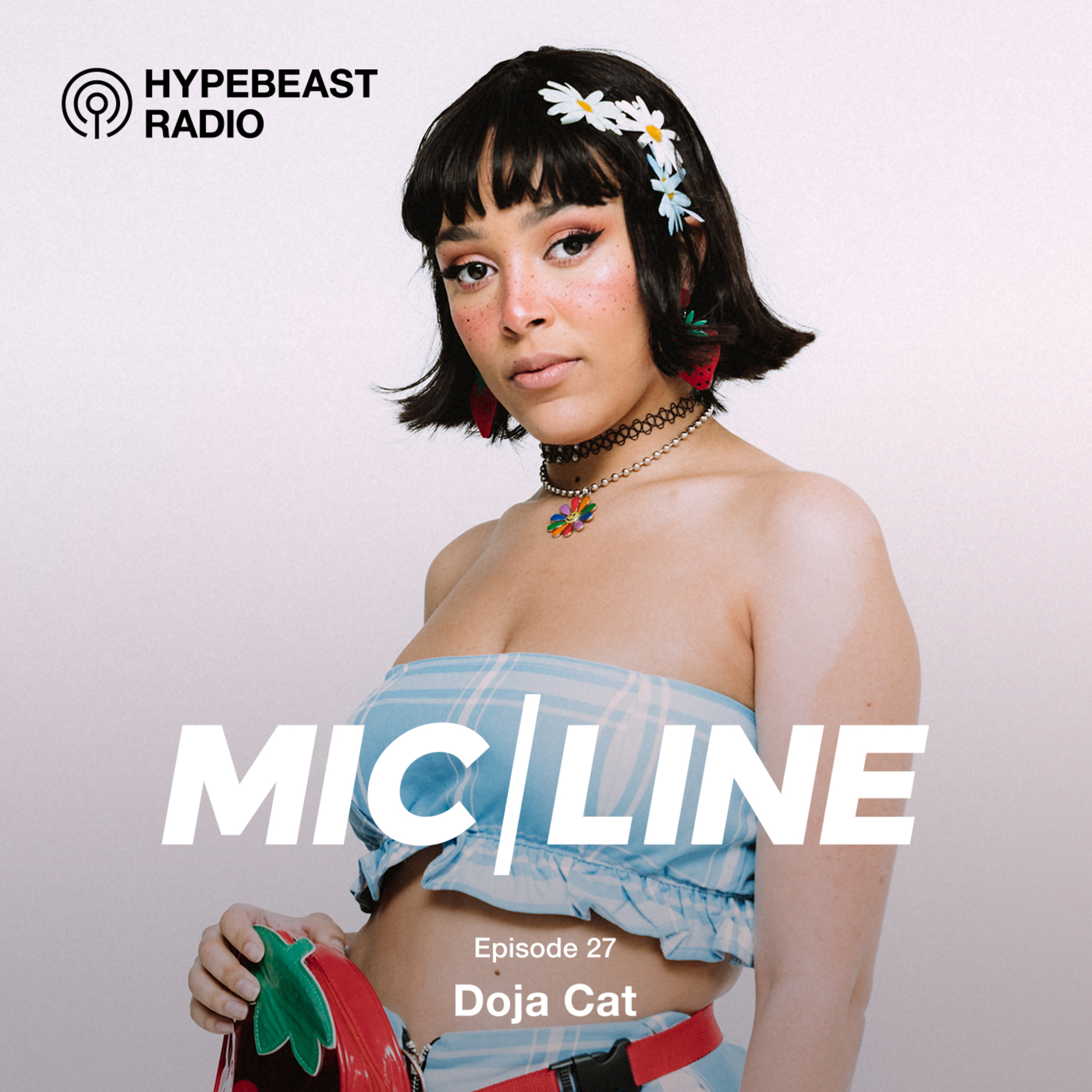 MIC/LINE