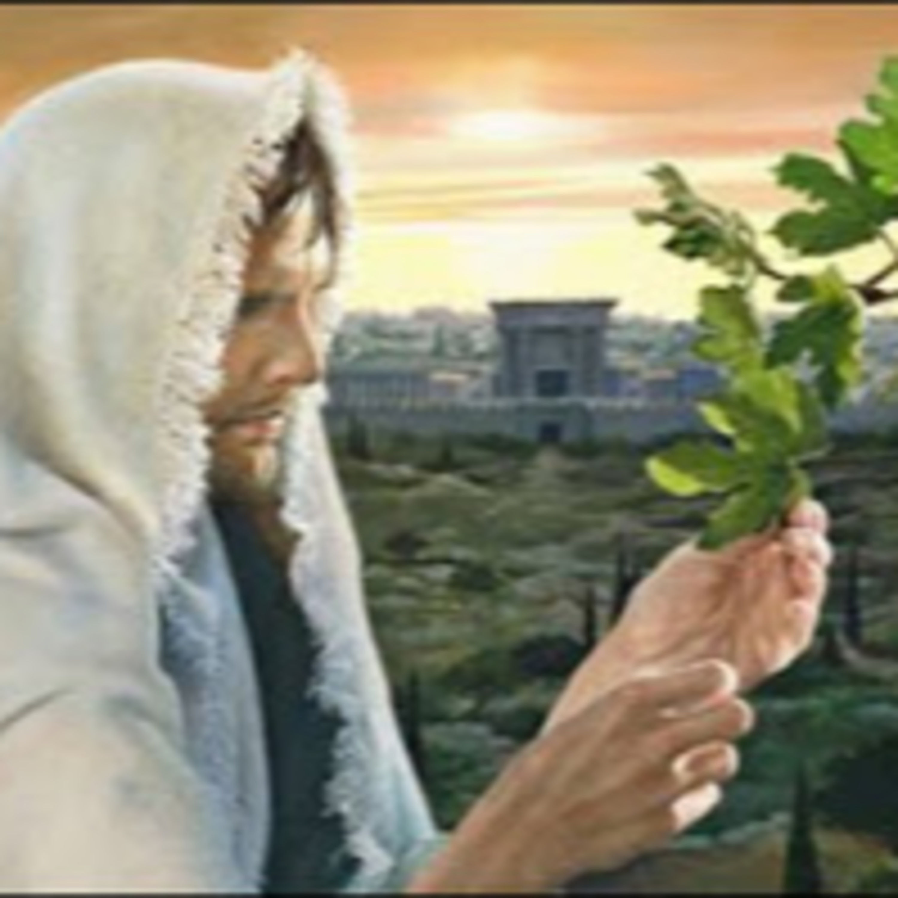 VIERNES DE LA VIII SEMANA DEL TIEMPO ORDINARIO - 28 de mayo de 2021 - EL EVANGELIO DEL DIA episode artwork