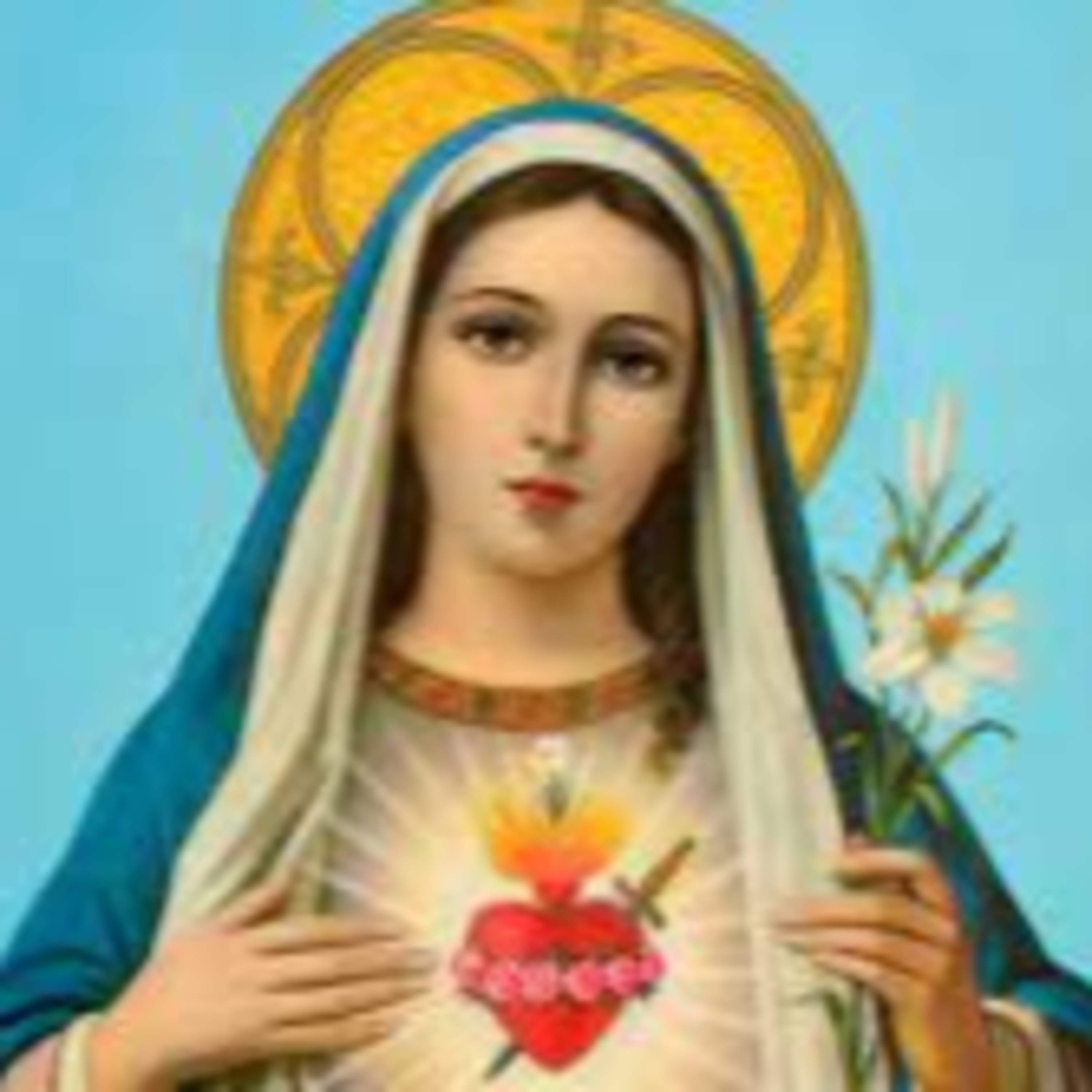 INMACULADO CORAZÓN DE MARÍA - Sábado, 12 de junio de 2021 - EL EVANGELIO DE CADA DÍA episode artwork