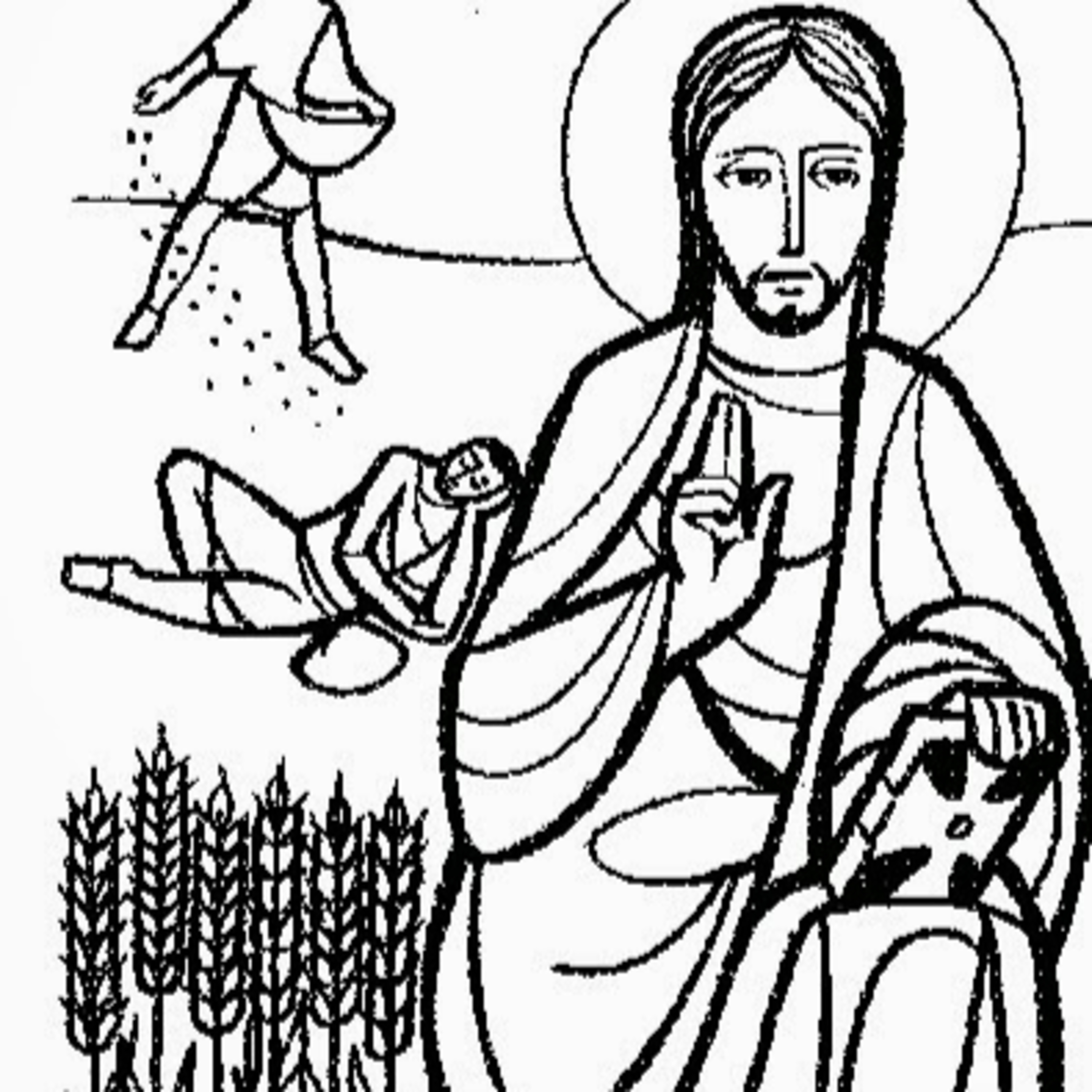 DOMINGO IX DEL TIEMPO ORDINARIO - 13 de junio de 2021 - EL EVANGELIO DE CADA DÍA episode artwork
