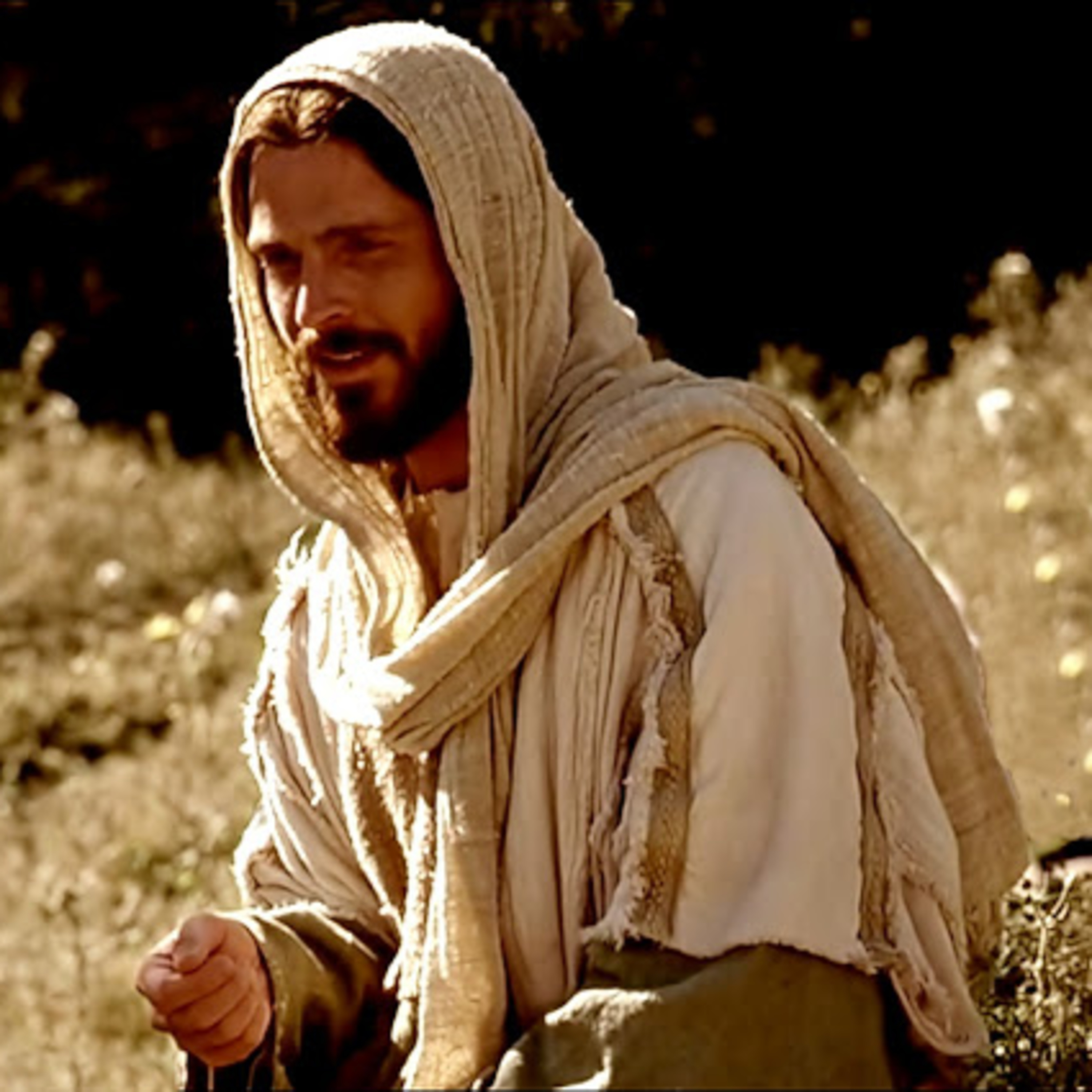 MIÉRCOLES DE LA XIII SEMANA DEL TIEMPO ORDINARIO - 30 de junio de 2021 - EL EVANGELIO DE CADA DÍA episode artwork