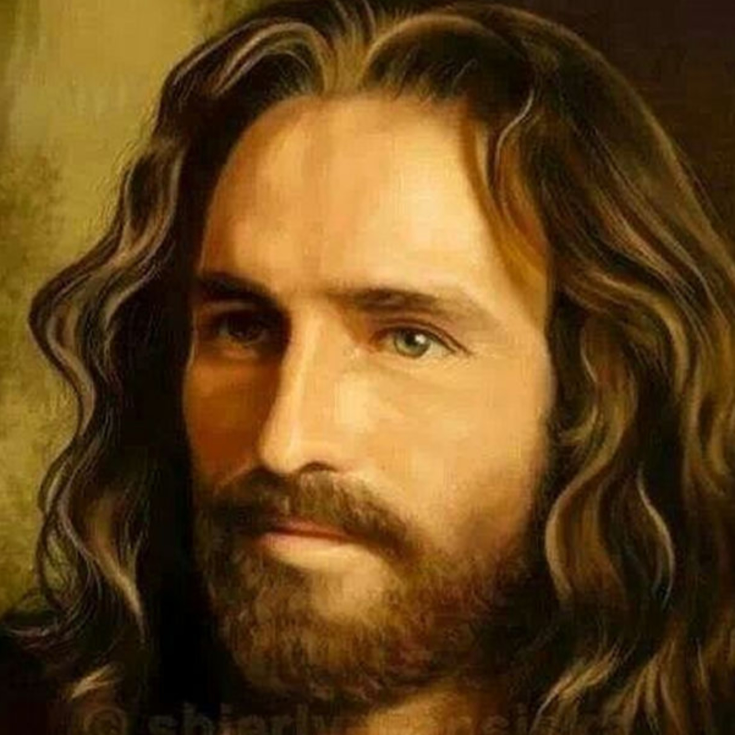 JUEVES DE LA XIII SEMANA DEL TIEMPO ORDINARIO - 1 de julio de 2021 - EL EVANGELIO DE CADA DIA episode artwork