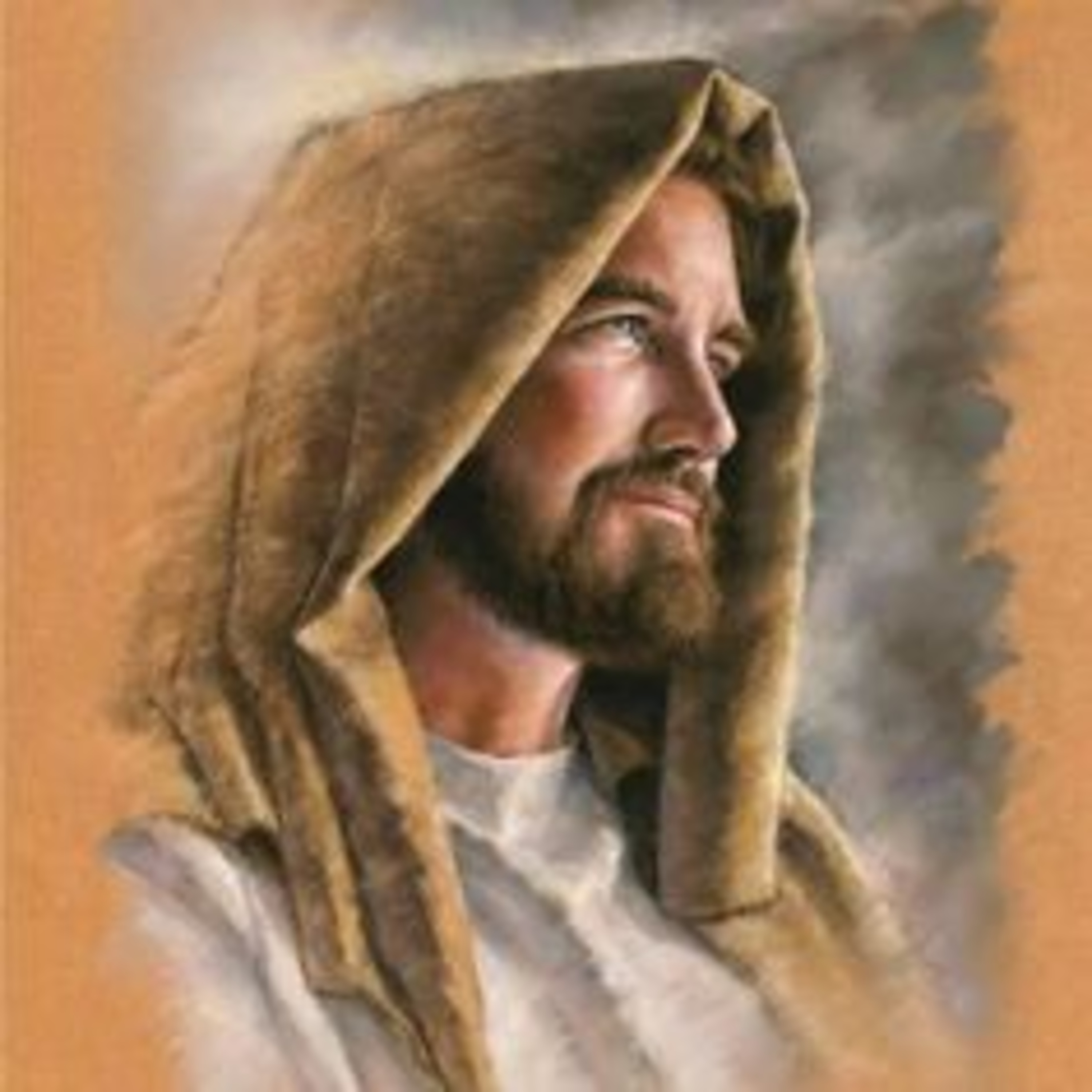VIERNES DE LA XIII SEMANA DEL TIEMPO ORDINARIO - 2 de julio de 2021 - EL EVANGELIO DE CADA DÍA episode artwork