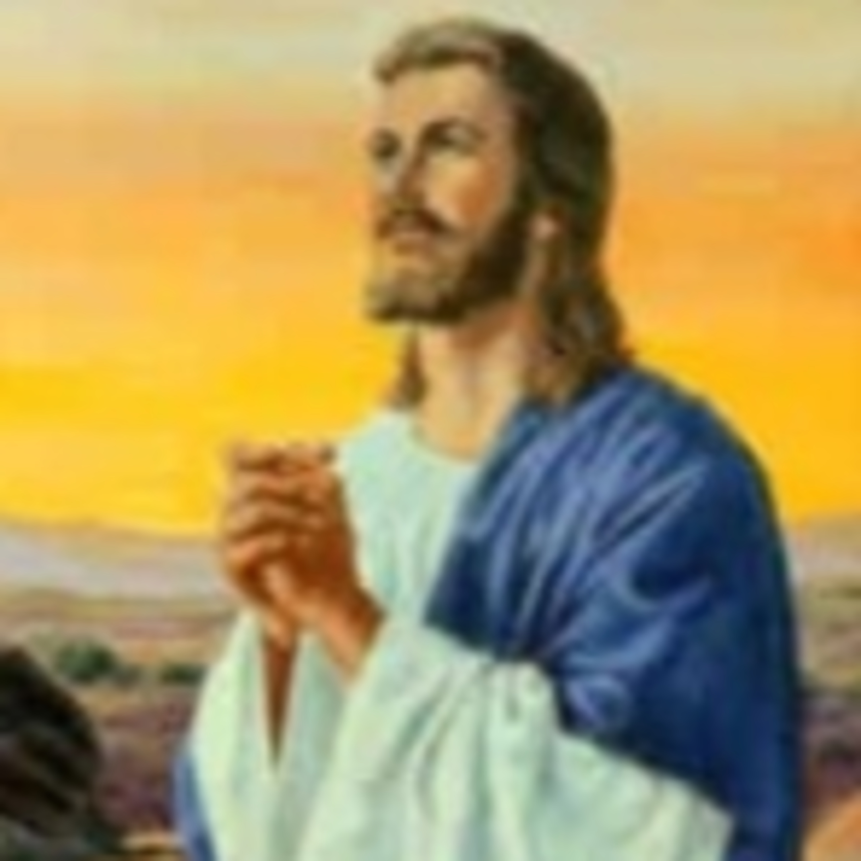 MIERCOLES DE LA XV SEMANA DEL TIEMPO ORDINARIO - 14 de julio de 2021 - EL EVANGELIO DE CADA DÍA episode artwork