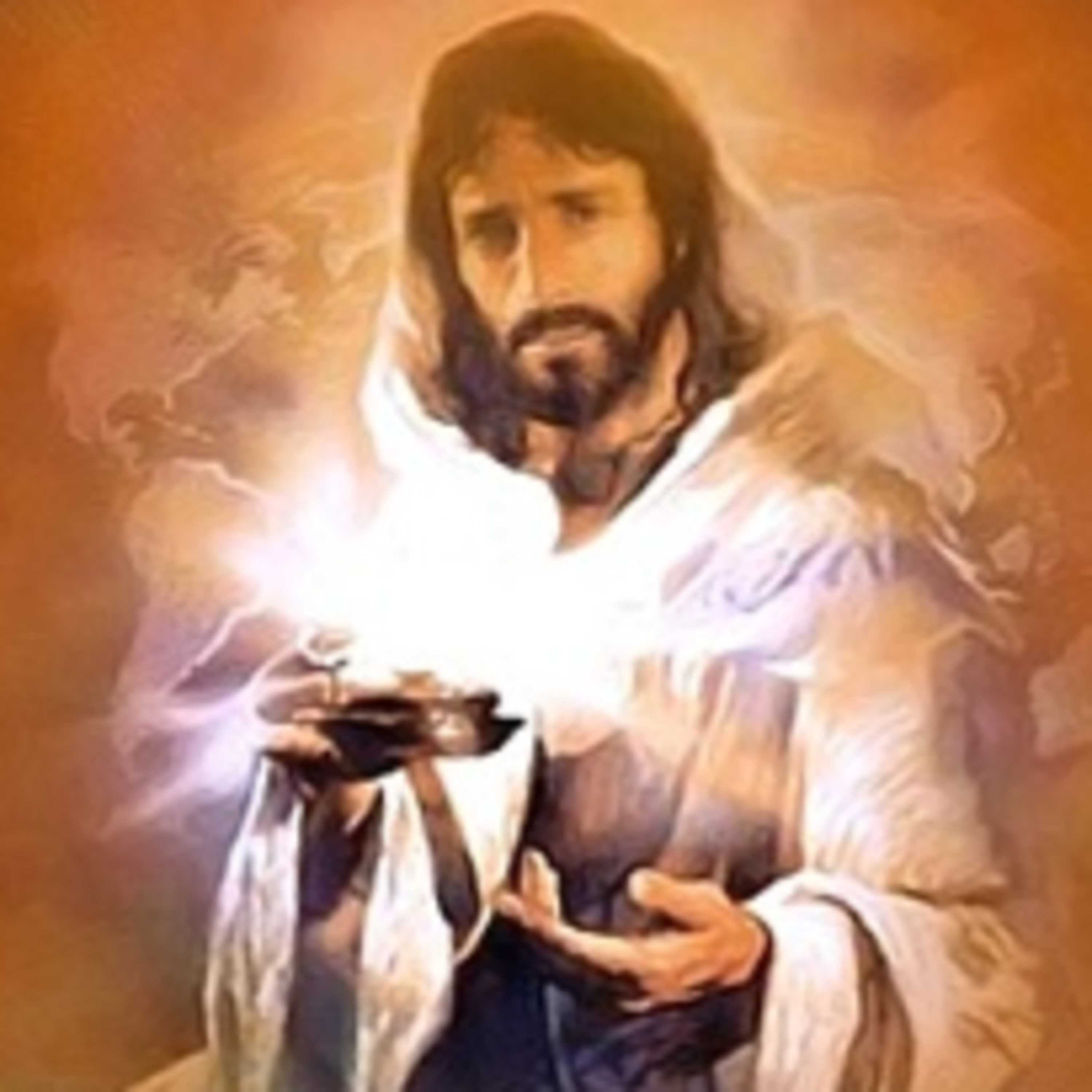 EL EVANGELIO DE CADA DÍA