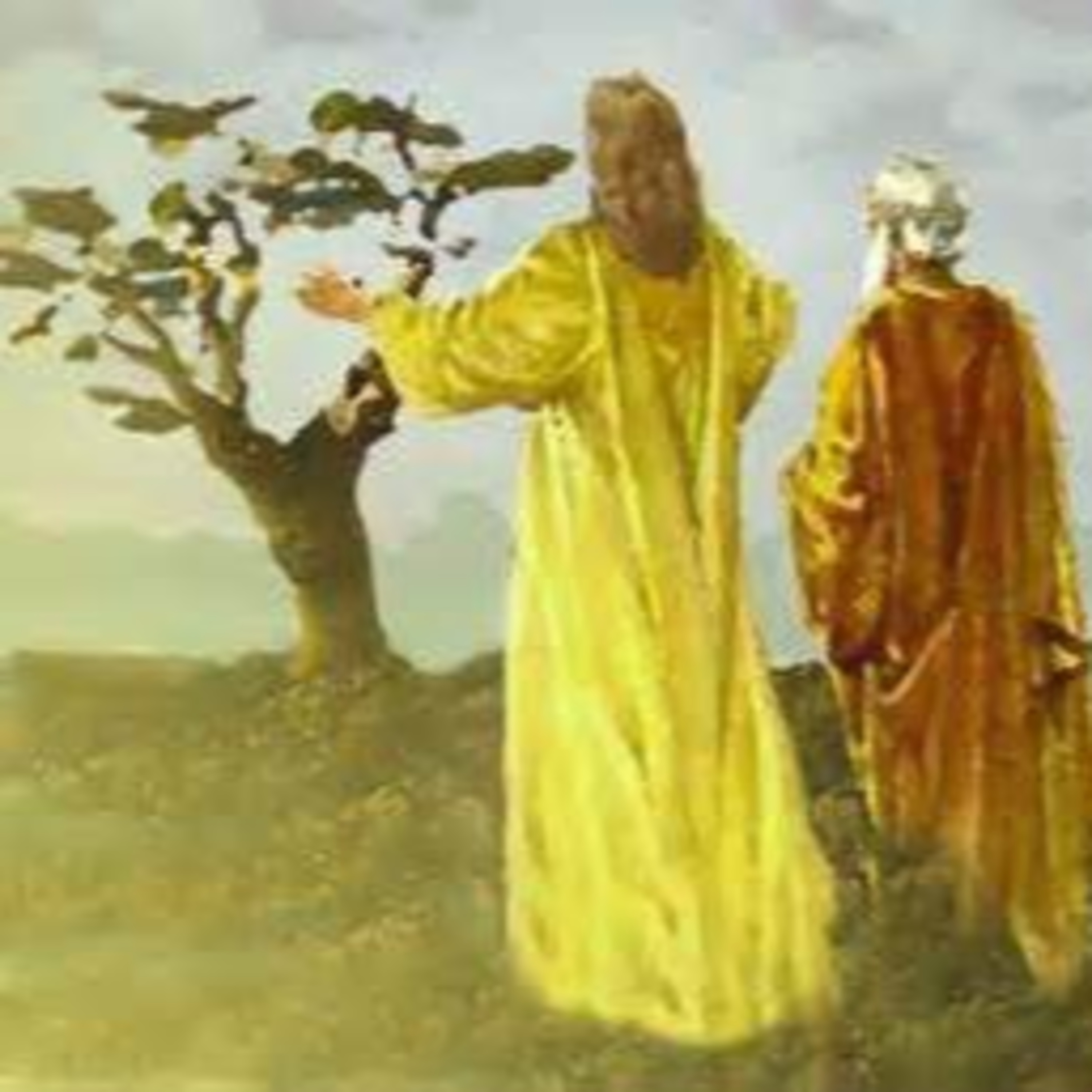 SÁBADO DE LA XXIX SEMANA DEL TIEMPO ORDINARIO - 23 de octubre de 2021 - EL EVANGELIO DE CADA DÍA episode artwork