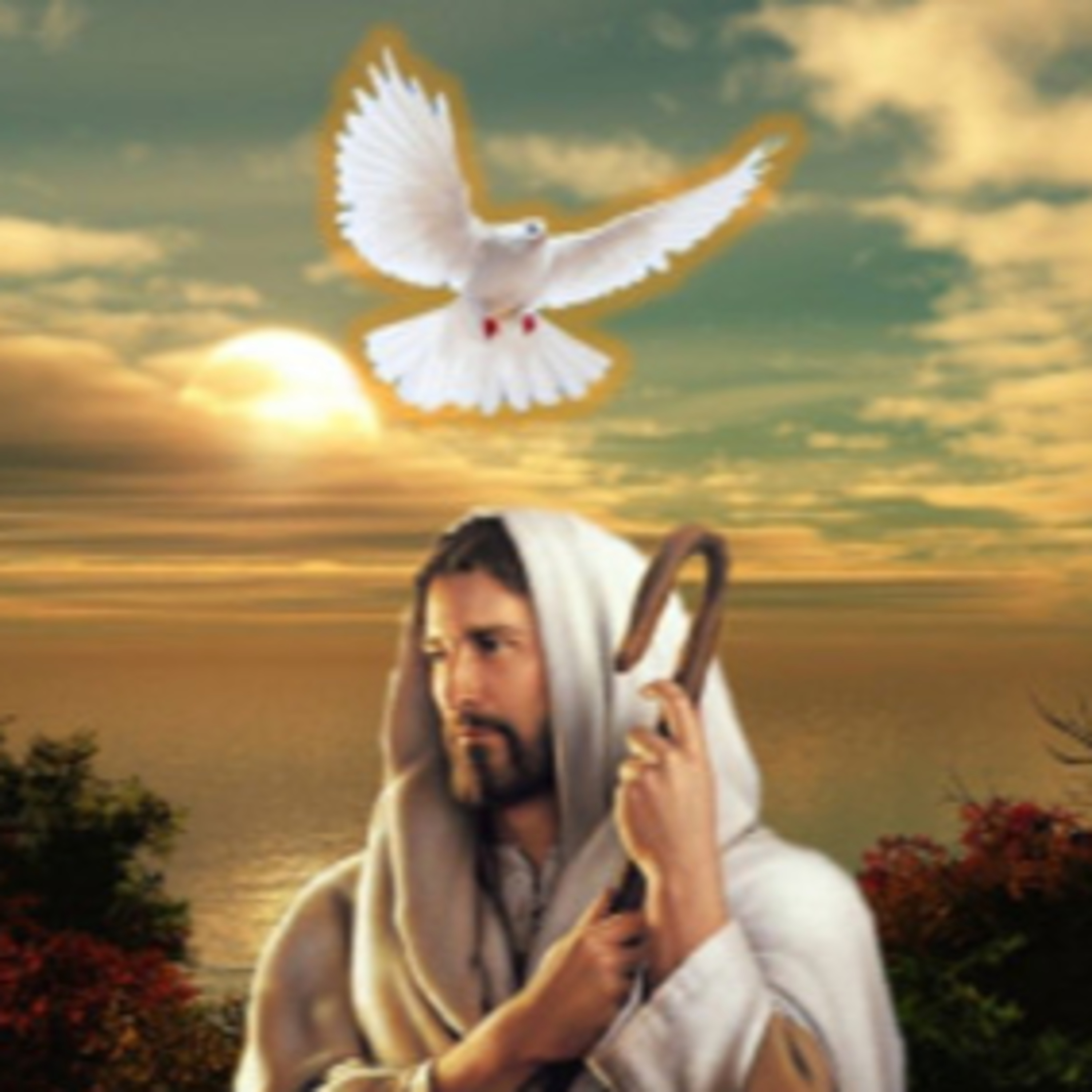 MARTES DE LA SEXTA SEMANA DE PASCUA - 24 de mayo de 2022 - EL EVANGELIO DE CADA DÍA episode artwork
