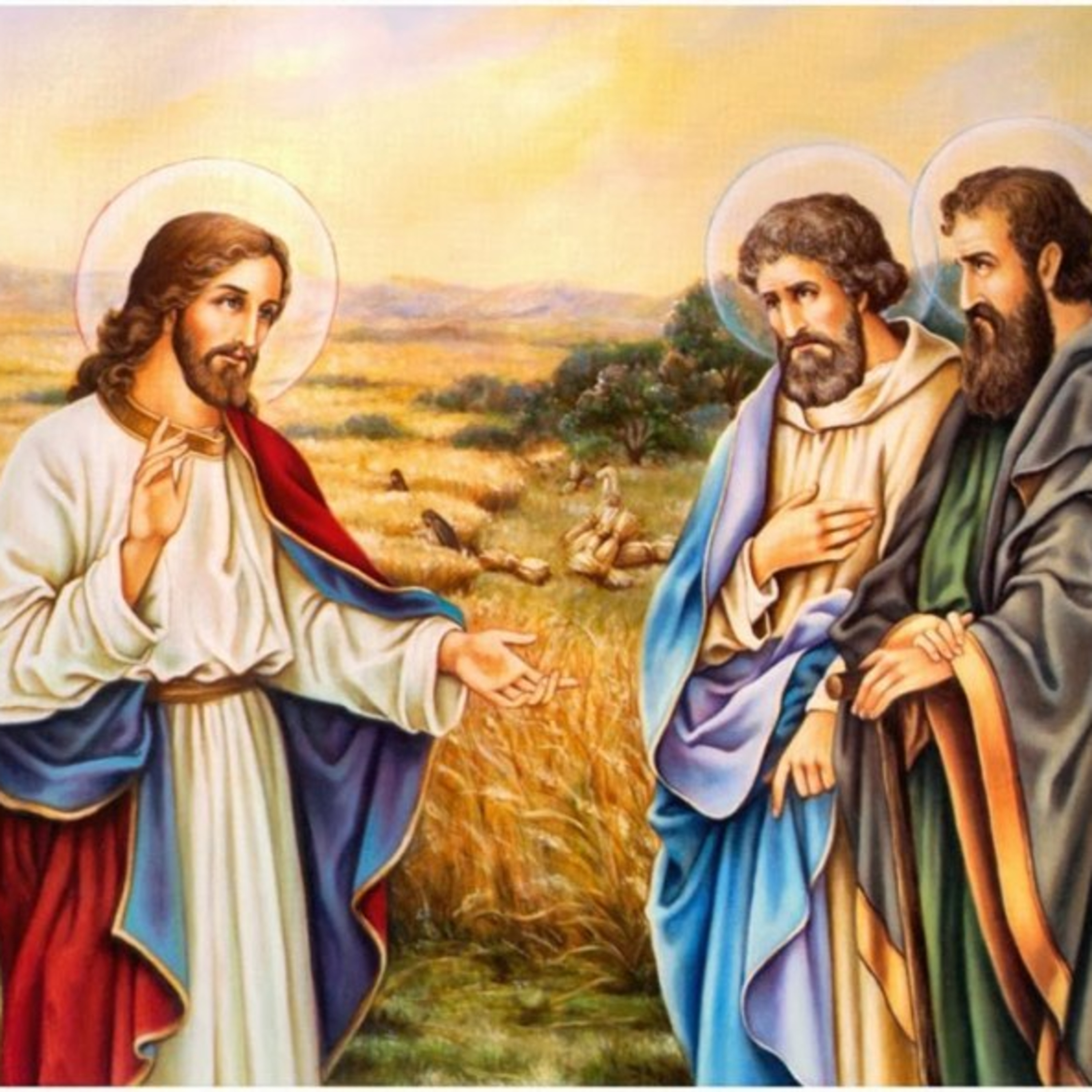 SABADO DE LA XIII SEMANA DEL TIEMPO ORDINARIO - 2 de julio de 2022 - EL EVANGELIO DE CADA DÍA episode artwork