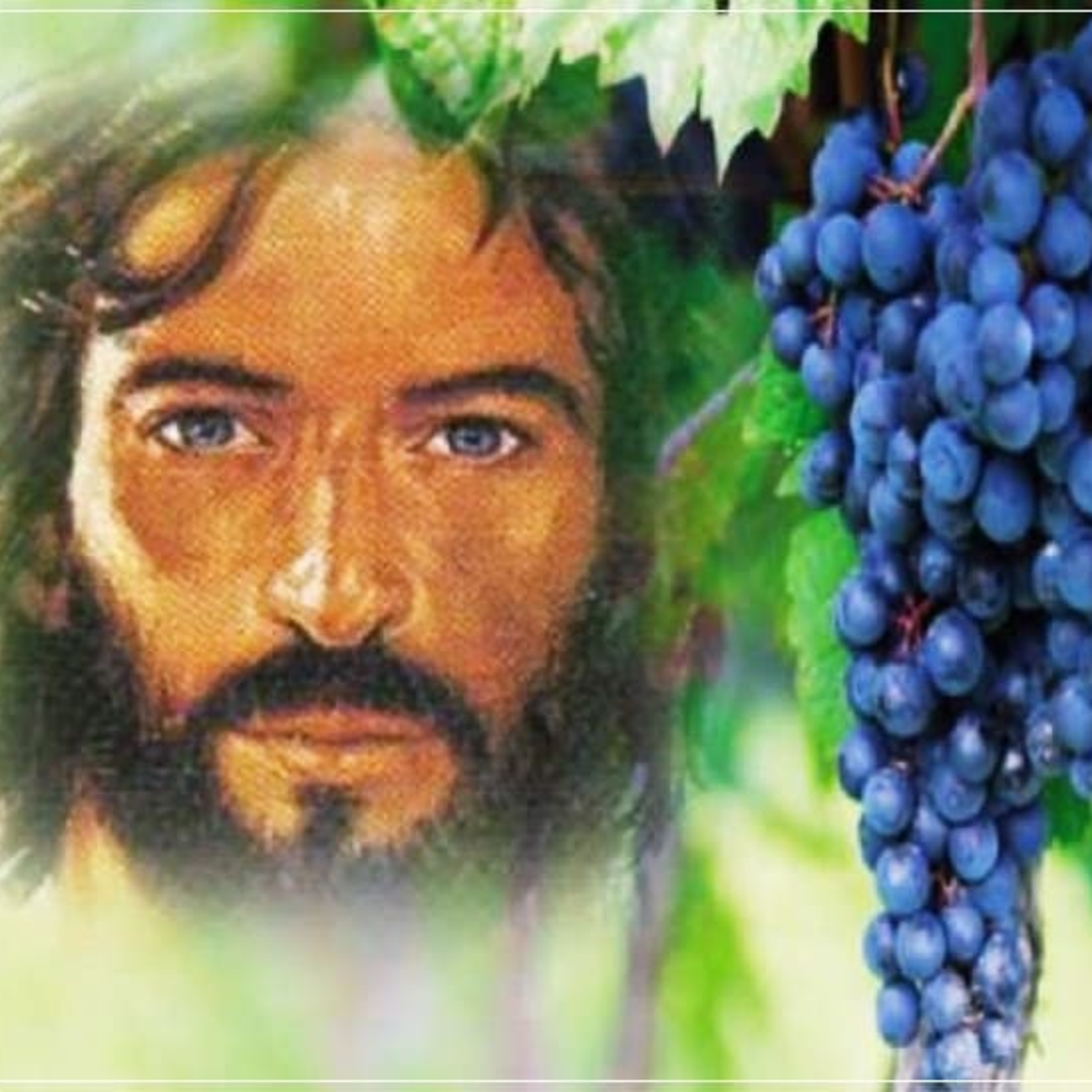 FIESTA LITURGICA DE SANTA BRIGIDA, PATRONA DE EUROPA - Sábado, 23 de julio de 2022 - EL EVANGELIO DE CADA DÍA episode artwork