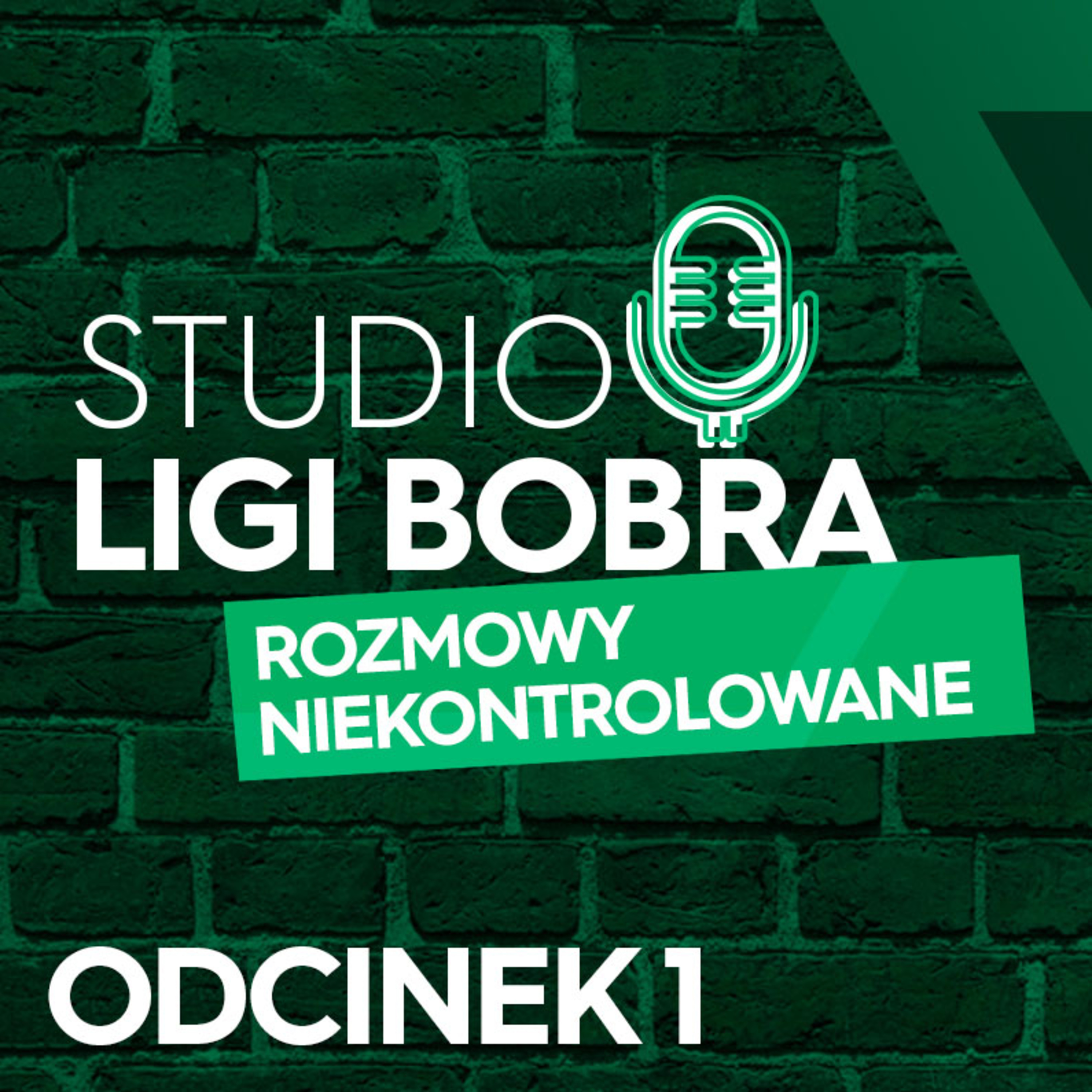 Liga Bobra