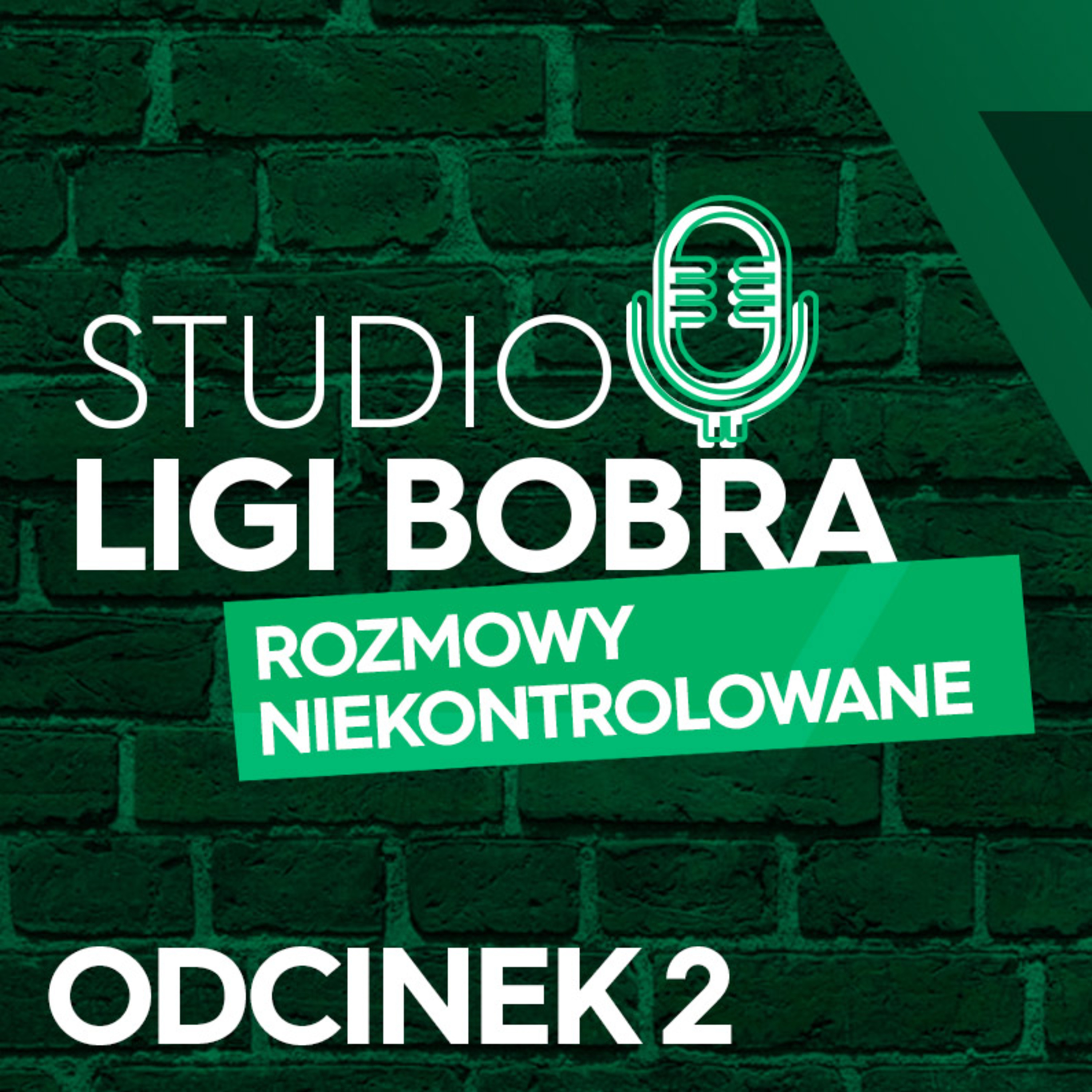 Liga Bobra