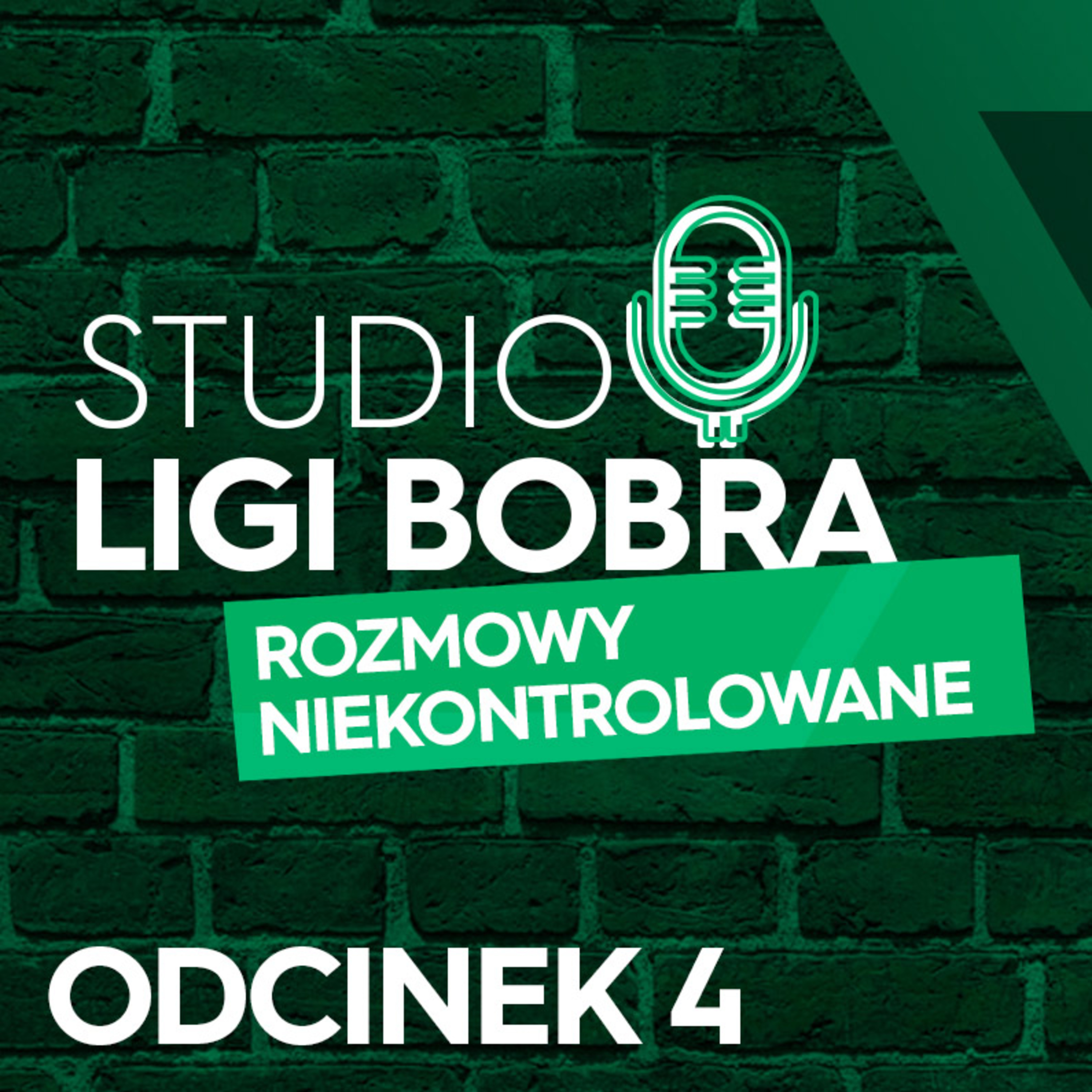 Liga Bobra