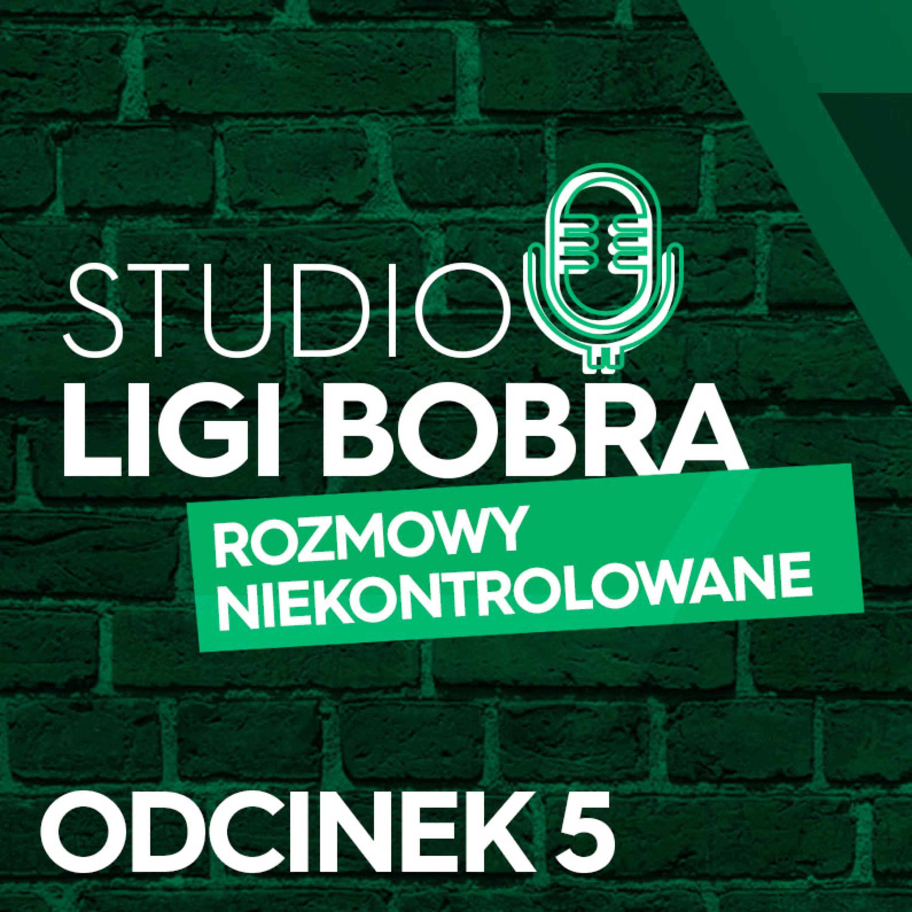 Liga Bobra