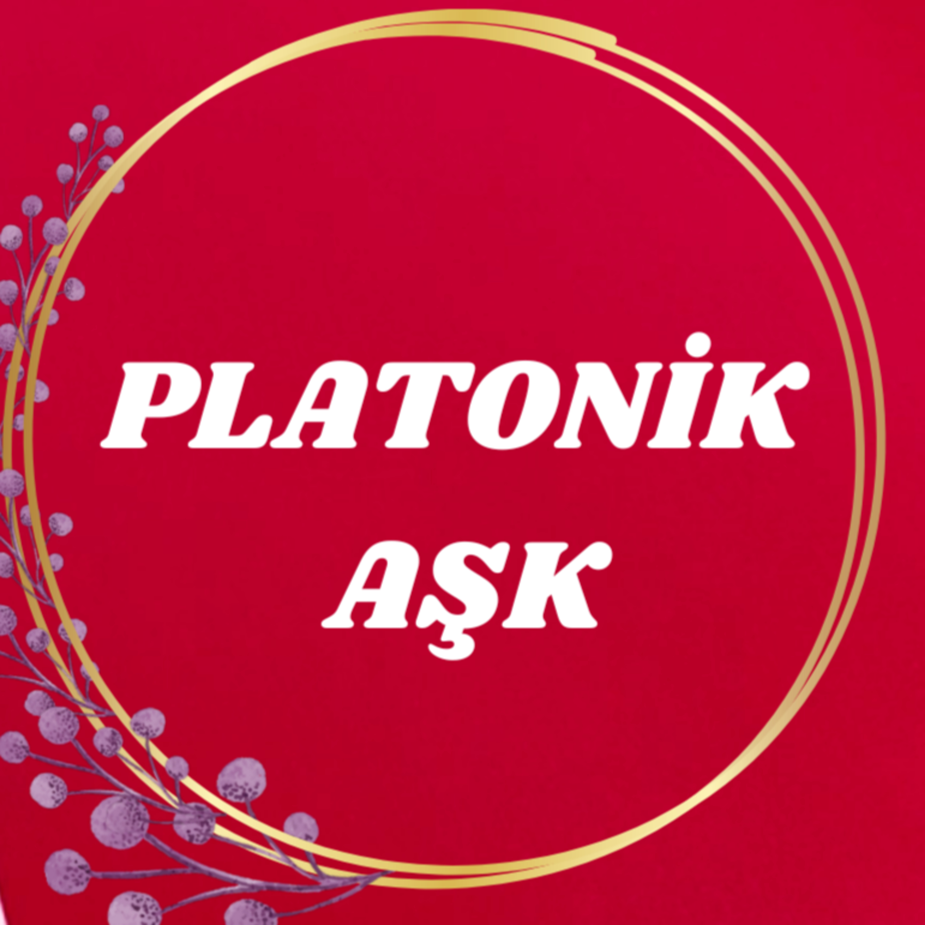 Platonik aşkınızla şu an aranızda nasıl bir enerji var?Tarot deste seç 🤍💙 episode artwork