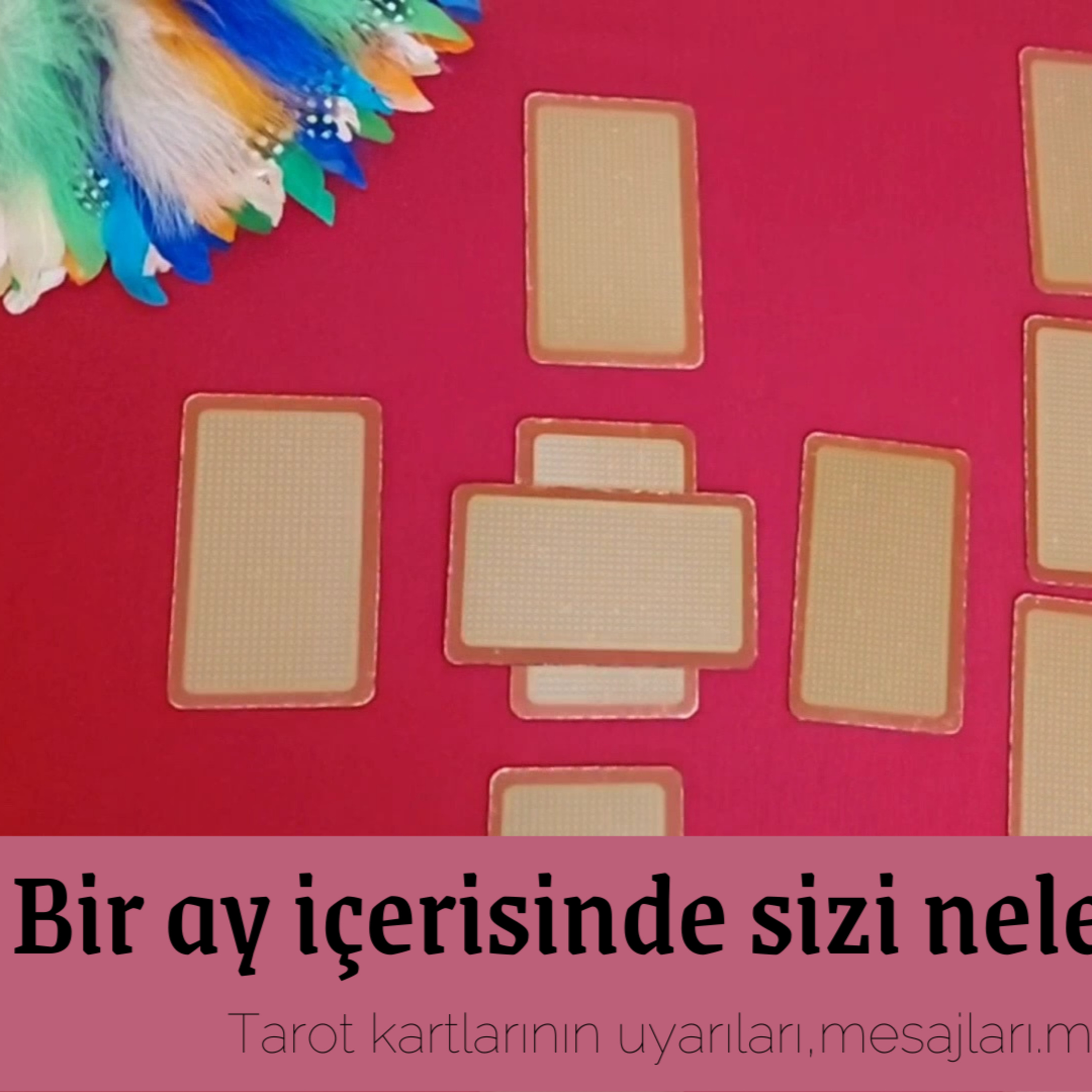 Tarot rehberlik okuması/Bir ay içinde hangi enerjiler geliyor ve kartlar ne yapmanızı öneriyor? episode artwork