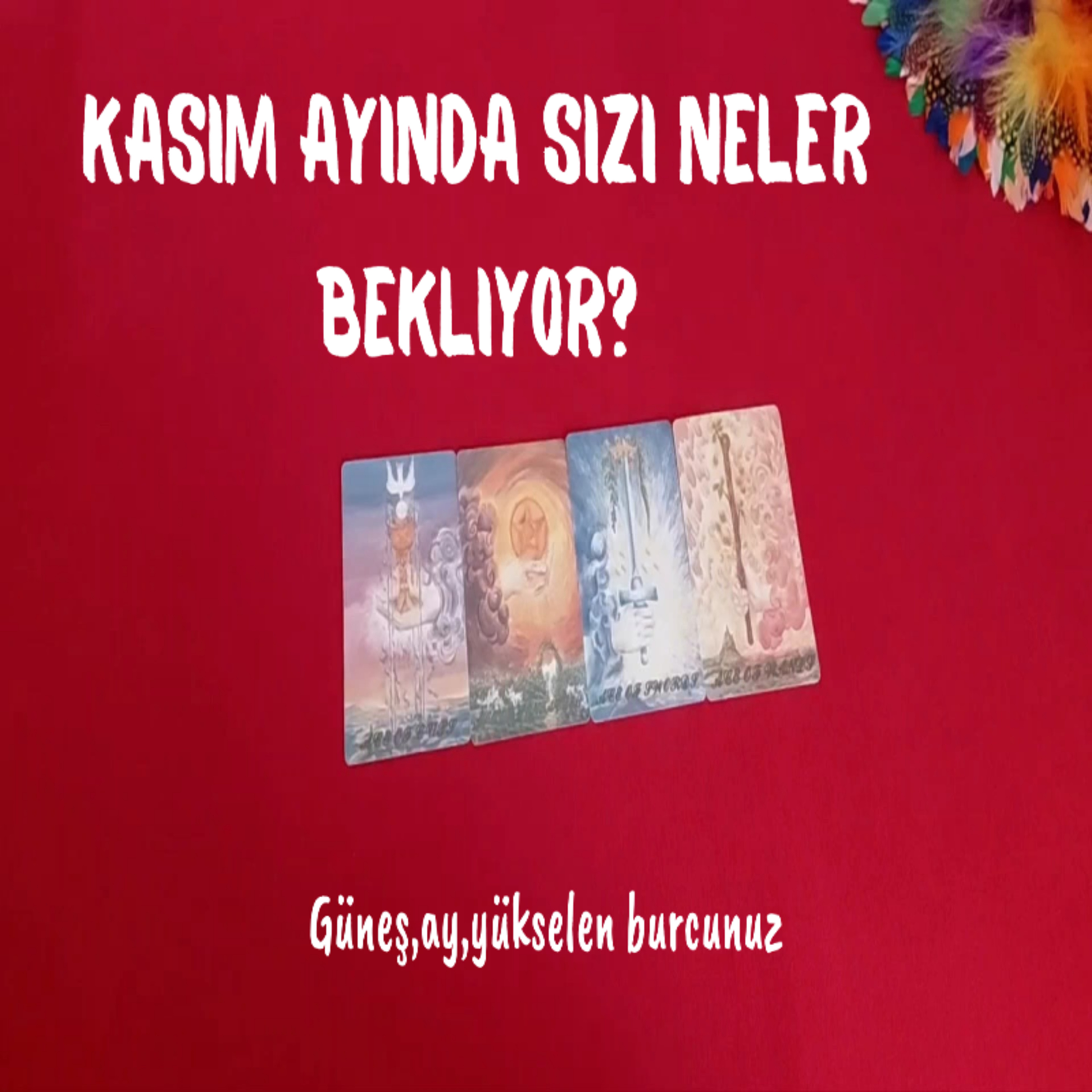 Kasım ayında nelere dikkat etmelisiniz?Hangi fırsatlar sizi bekliyor?Tarot rehberlik okuması episode artwork