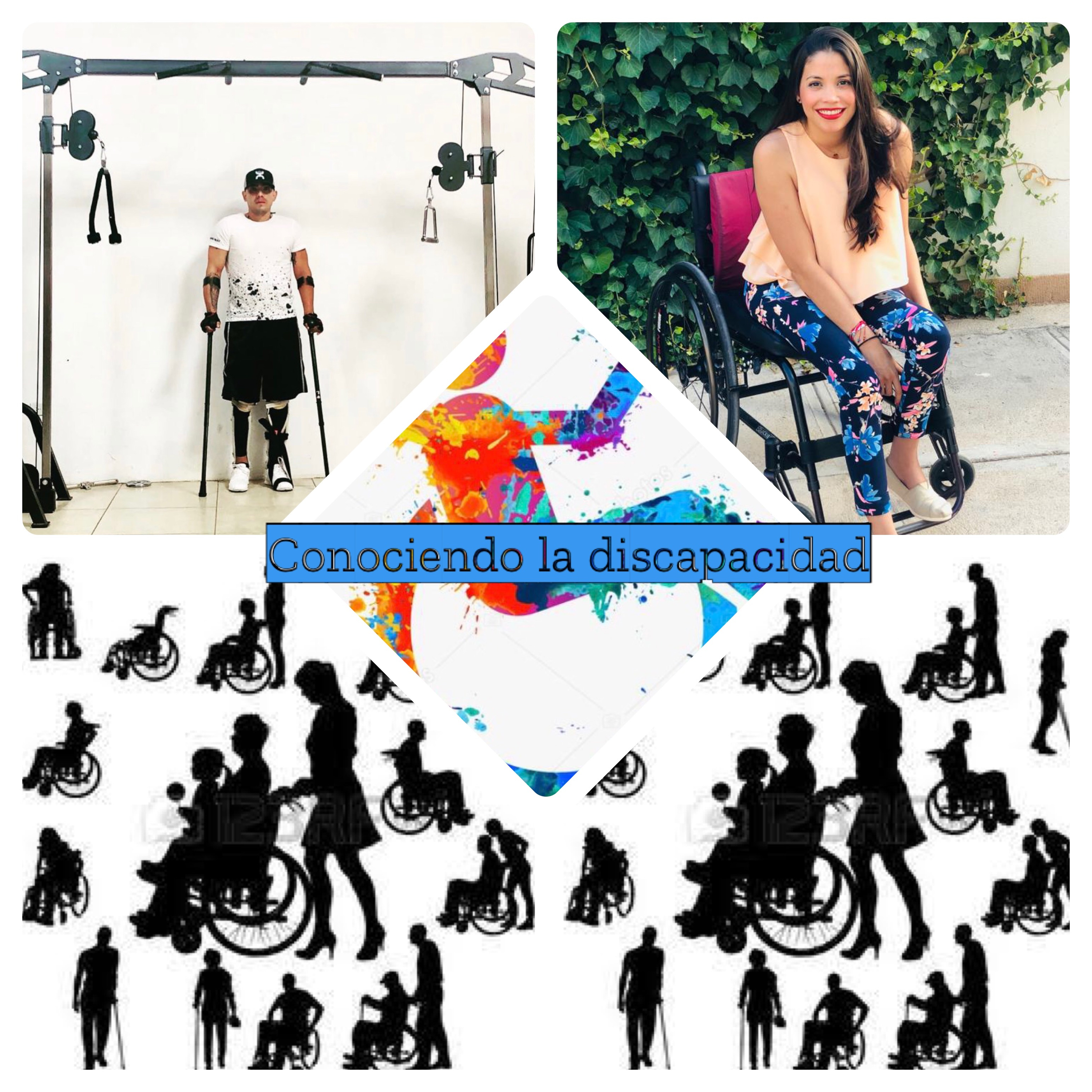 Conociendo la discapacidad