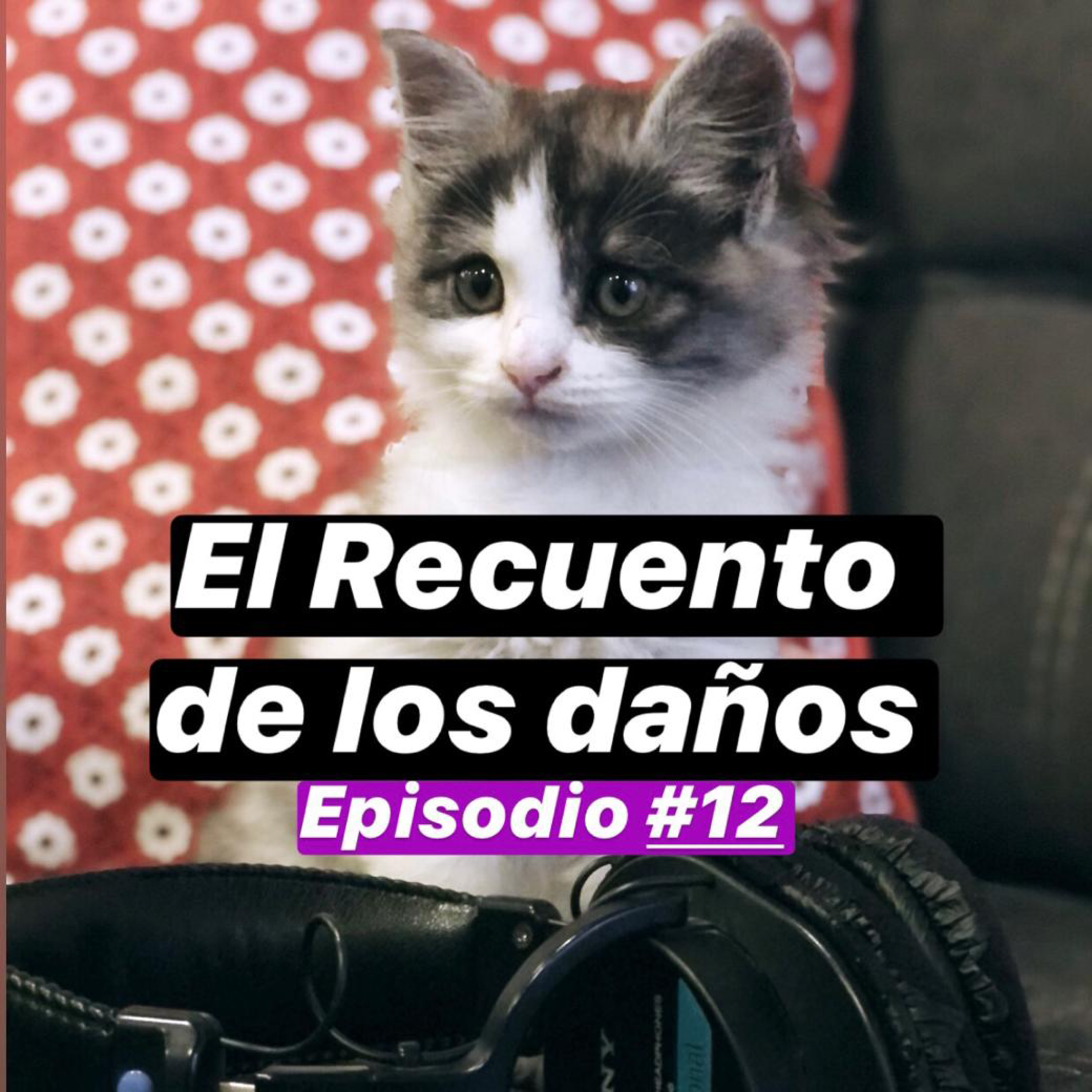 Jueves por la noche