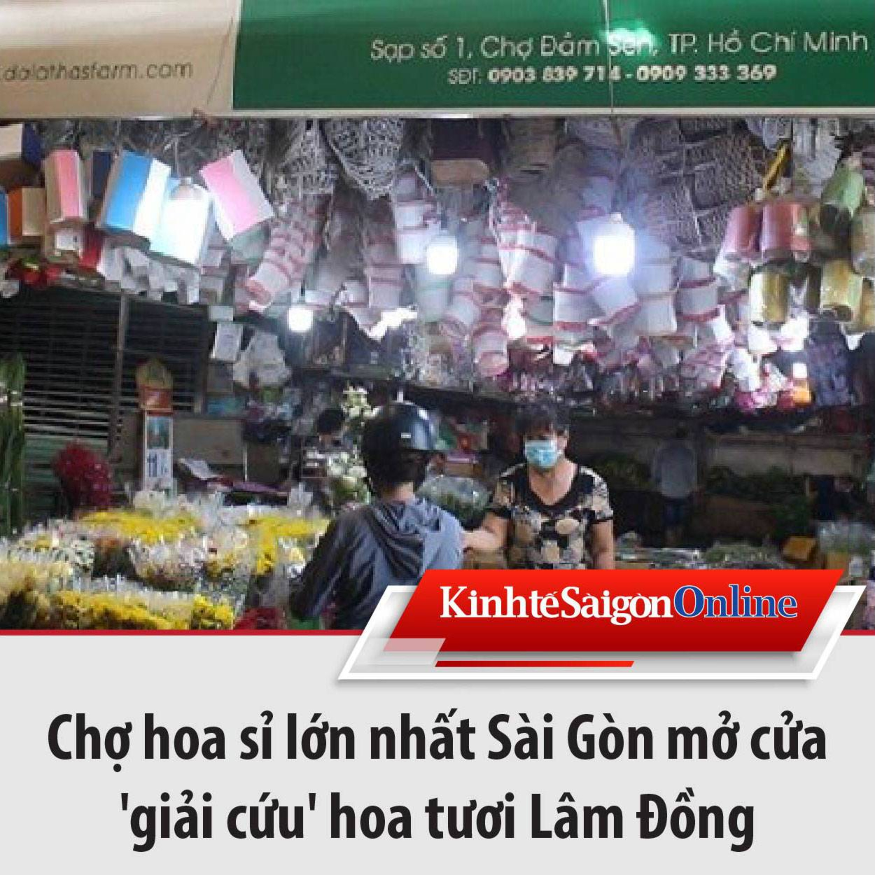 Chợ hoa sỉ lớn nhất Sài Gòn mở cửa 'giải cứu' hoa tươi Lâm Đồng episode artwork