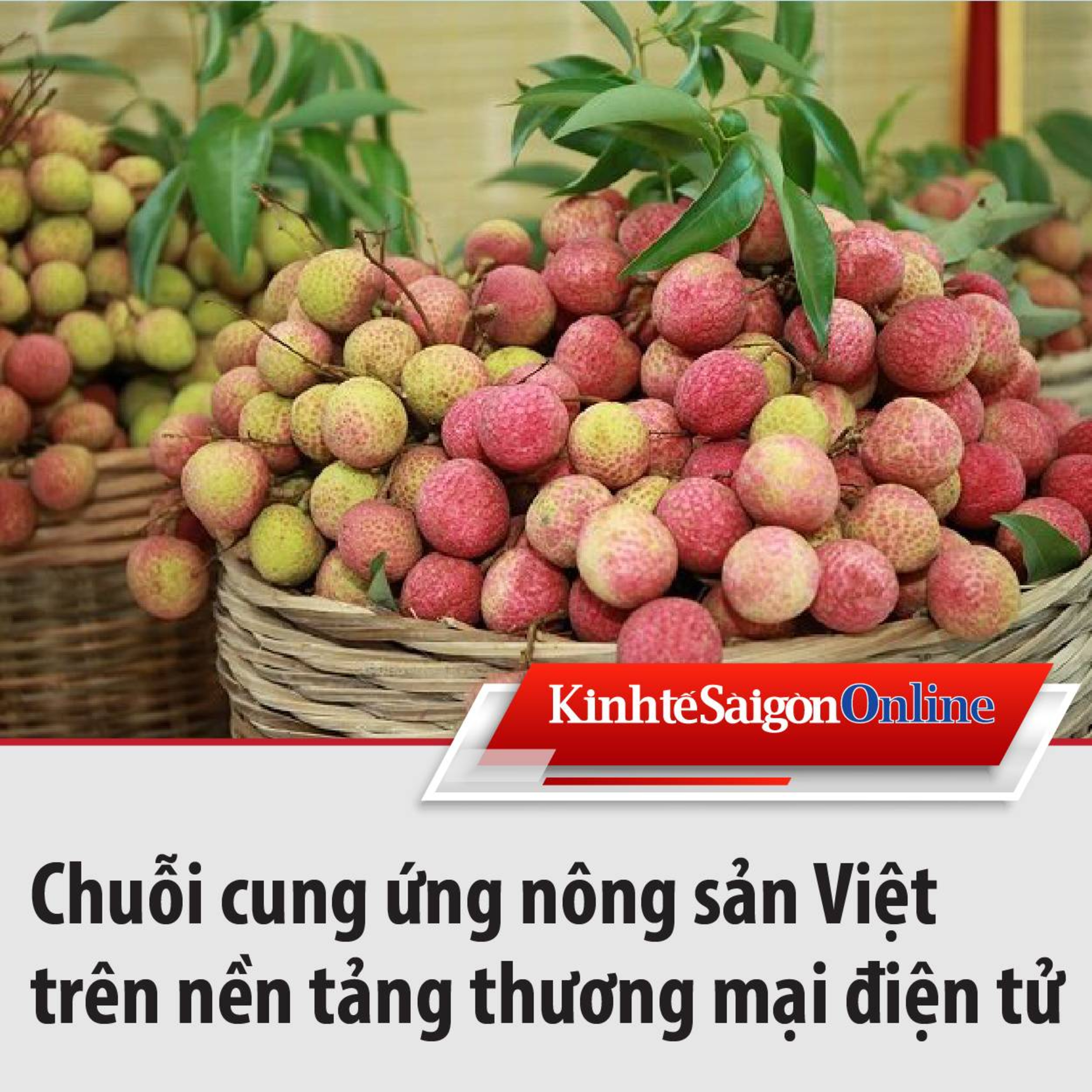 Chuỗi cung ứng nông sản Việt trên nền tảng thương mại điện tử episode artwork