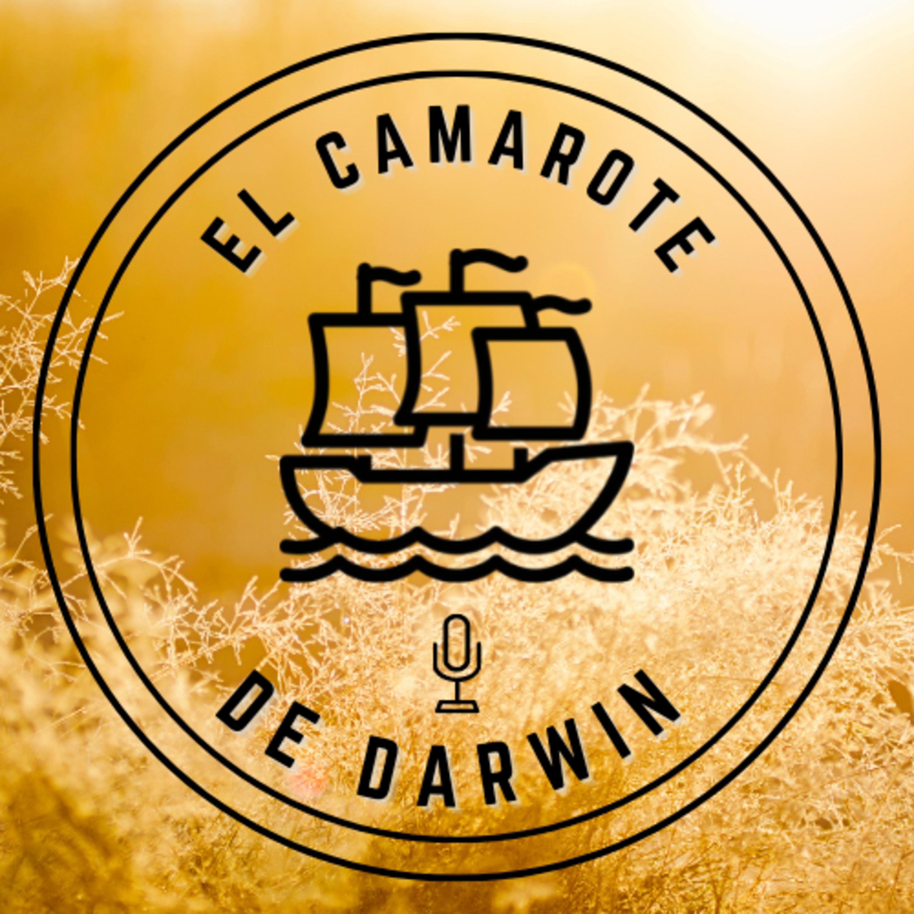 ¿Por qué no estamos hechos de silicio? Con Cuestión de Química episode artwork