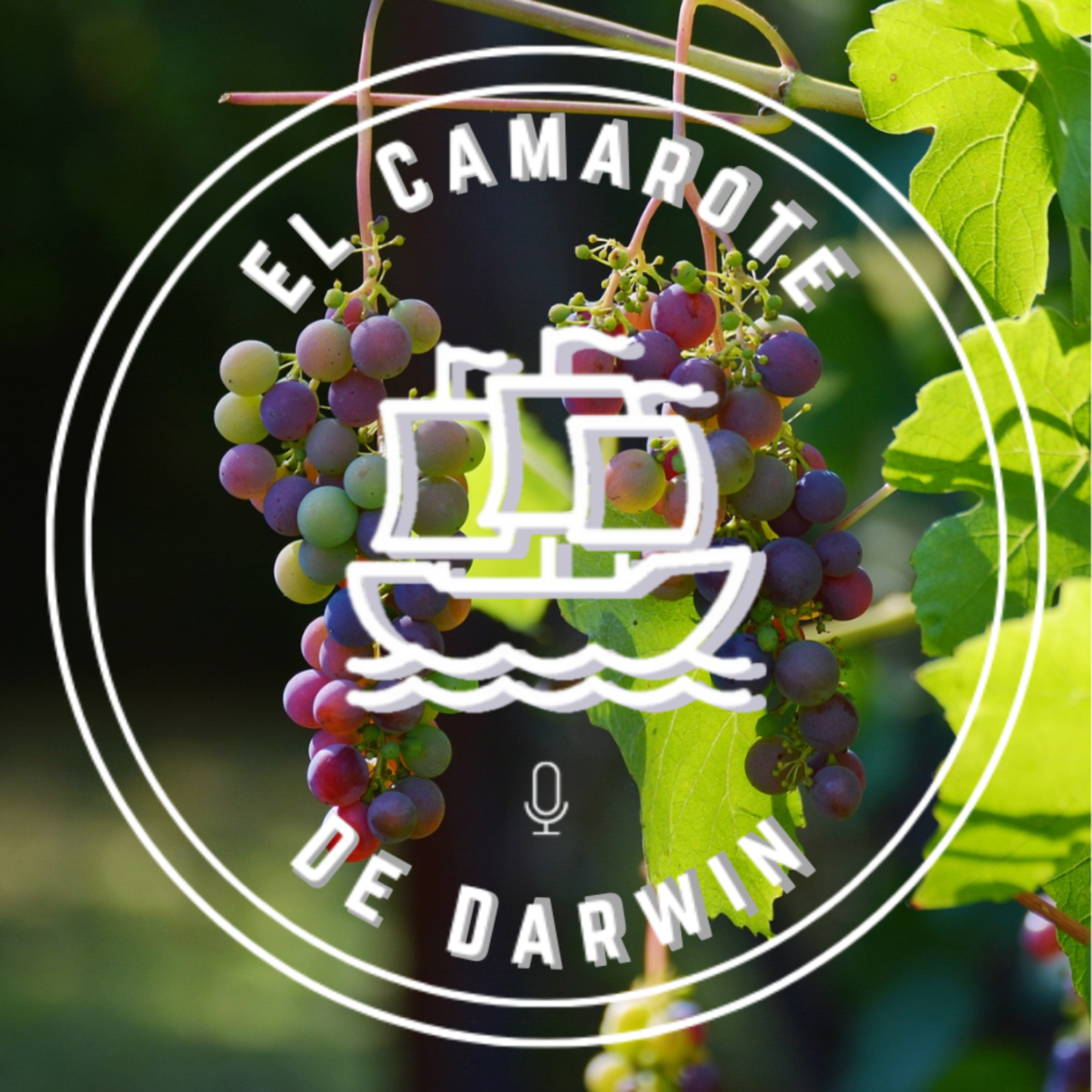 El Camarote de Darwin