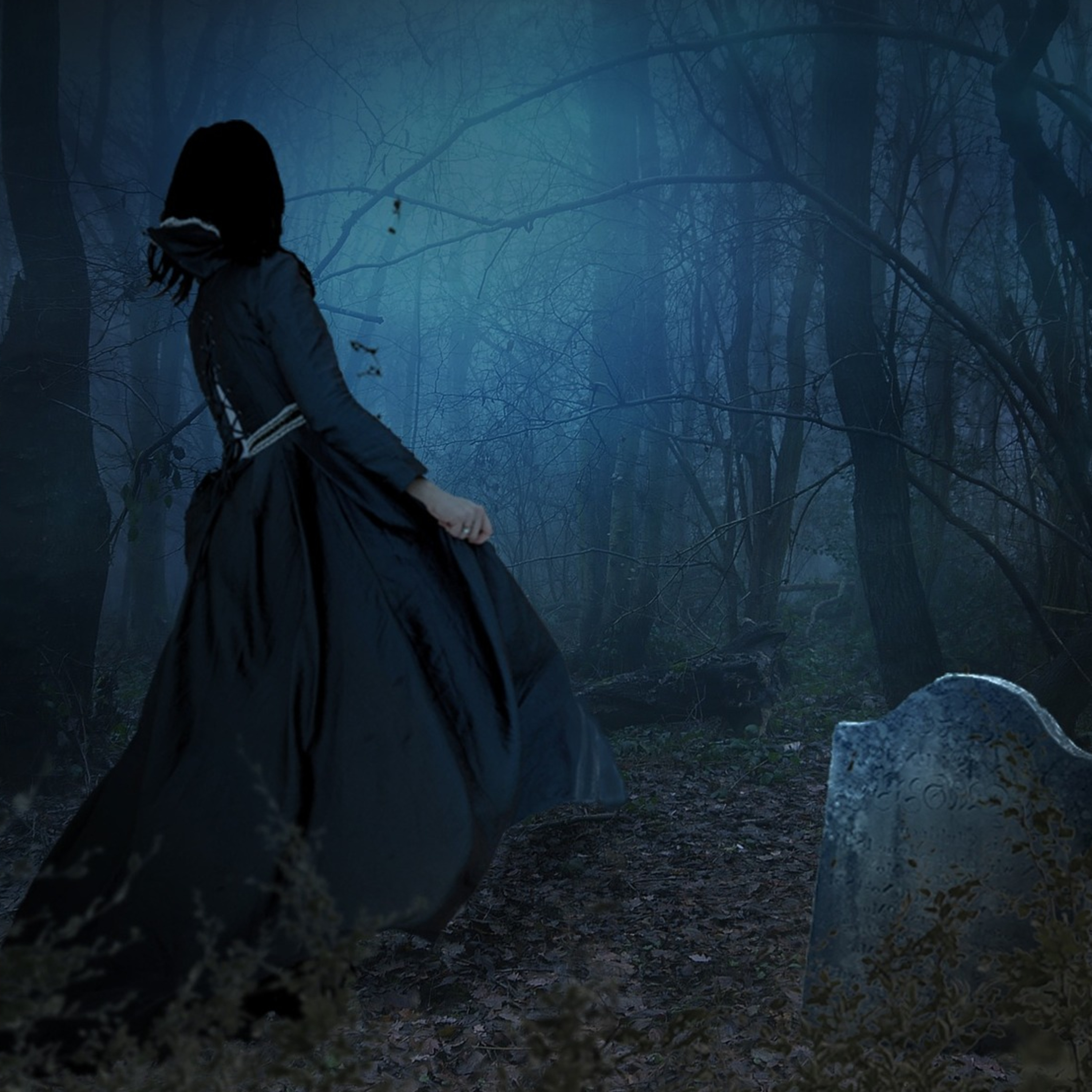 Snehulienka a ponuka, ktorá sa neodmieta episode artwork