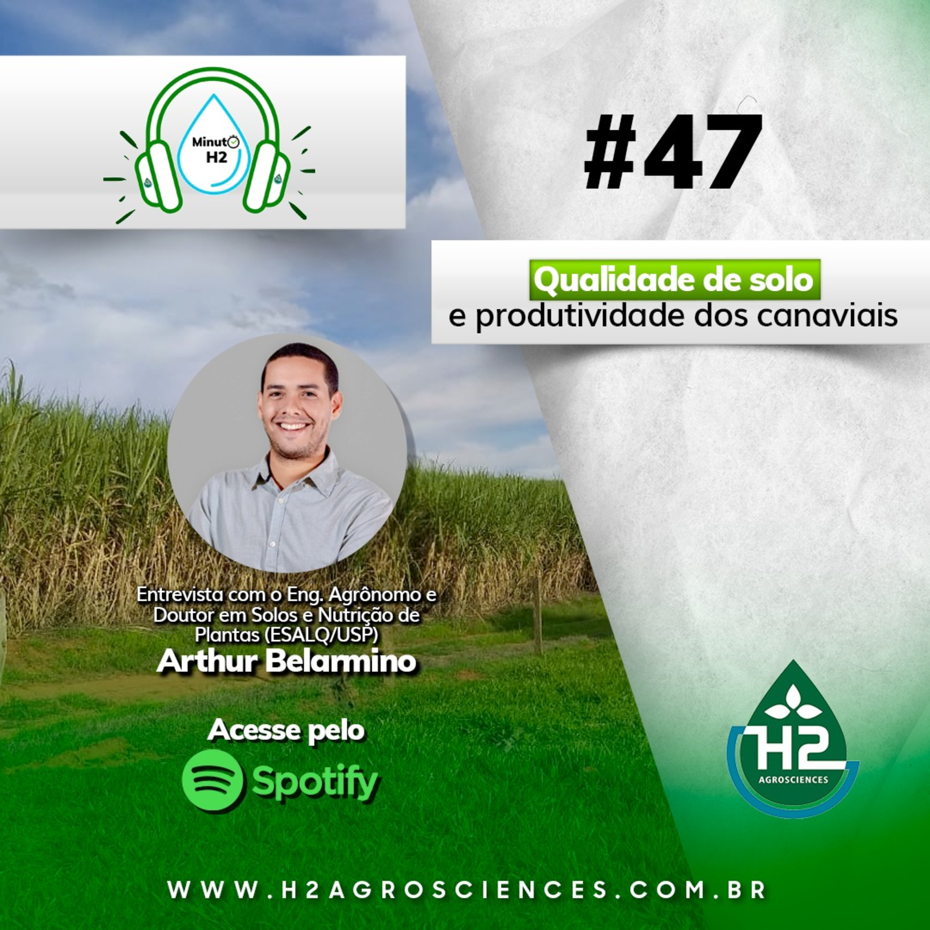 Qualidade de solo e produtividade dos canaviais 