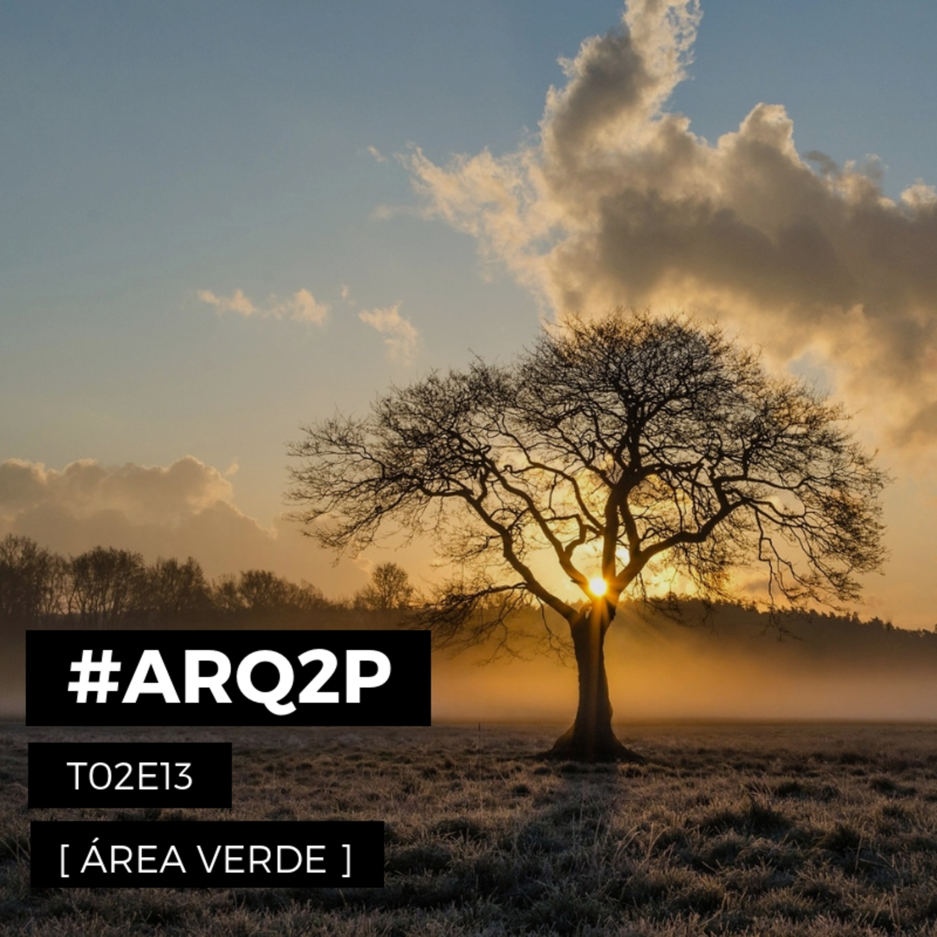 ARQ2P