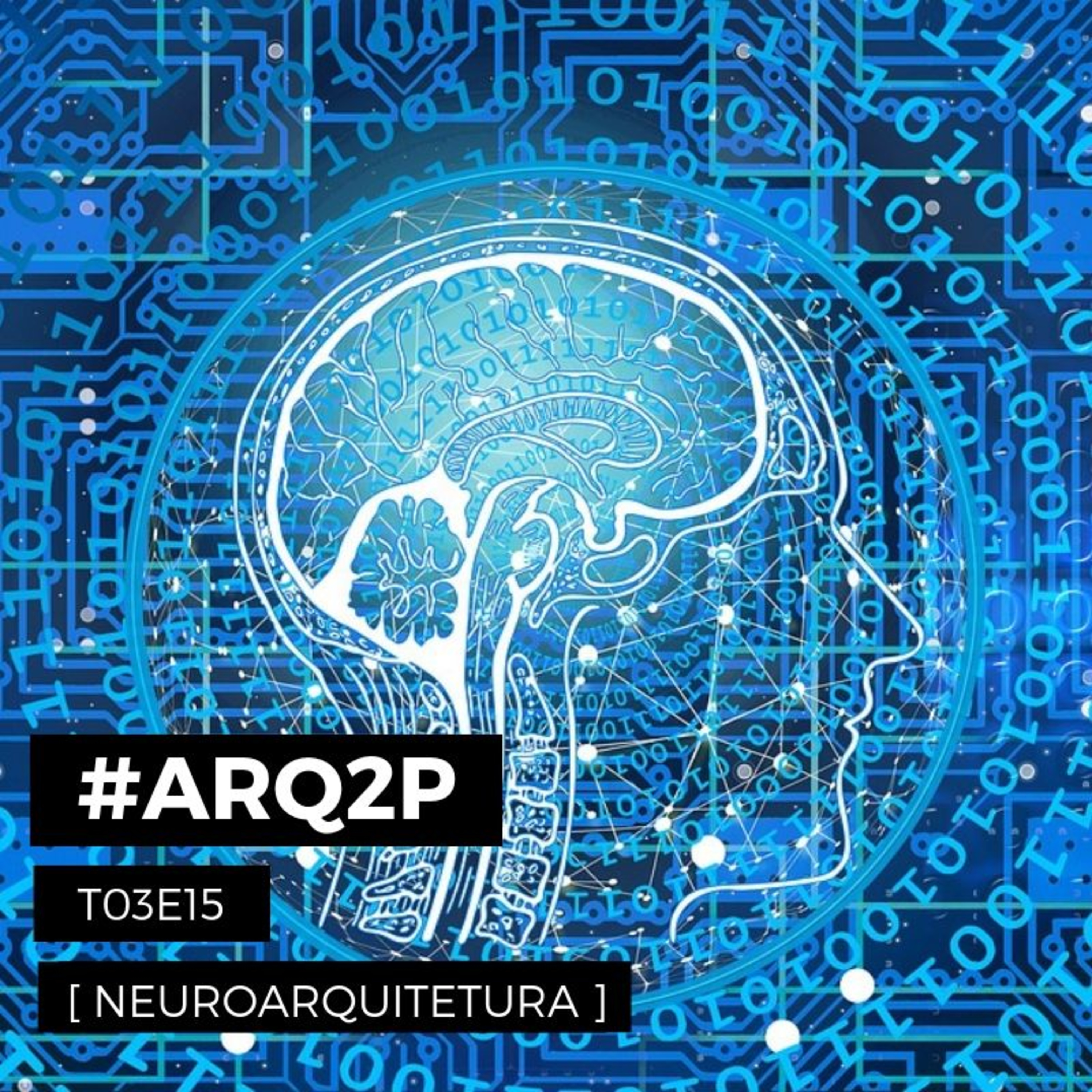 ARQ2P