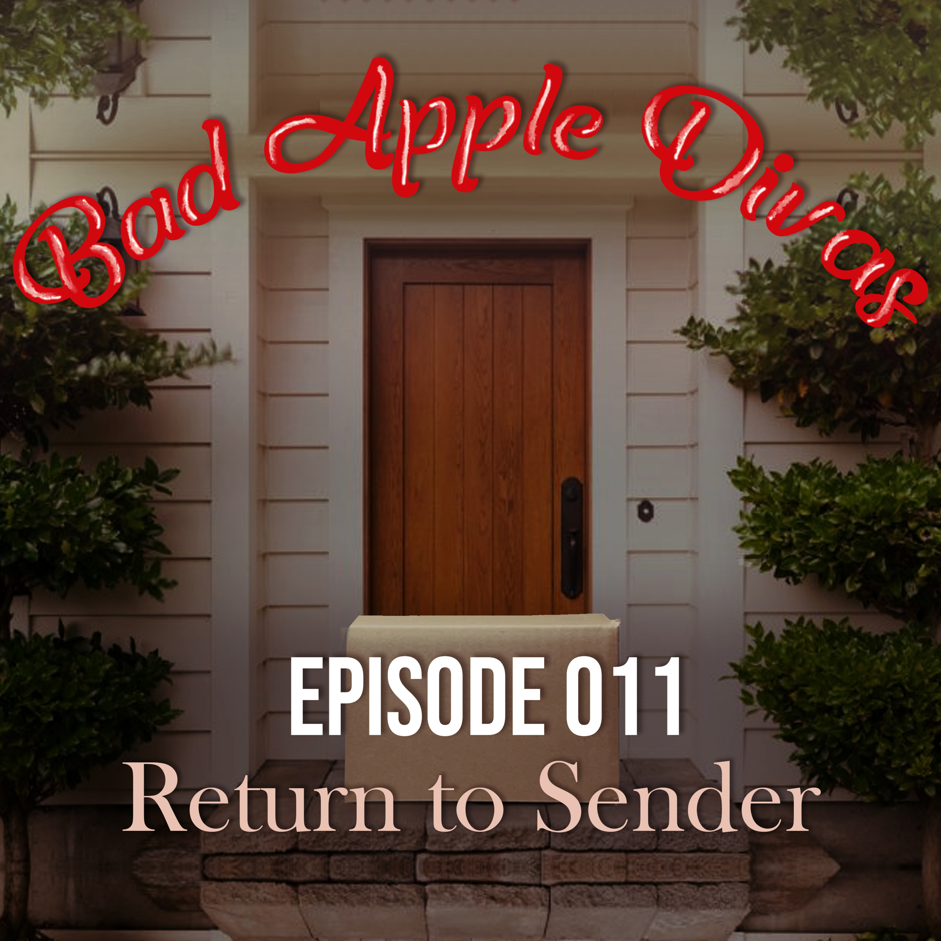 011 - A Package Marked “Return to Sender” episode artwork