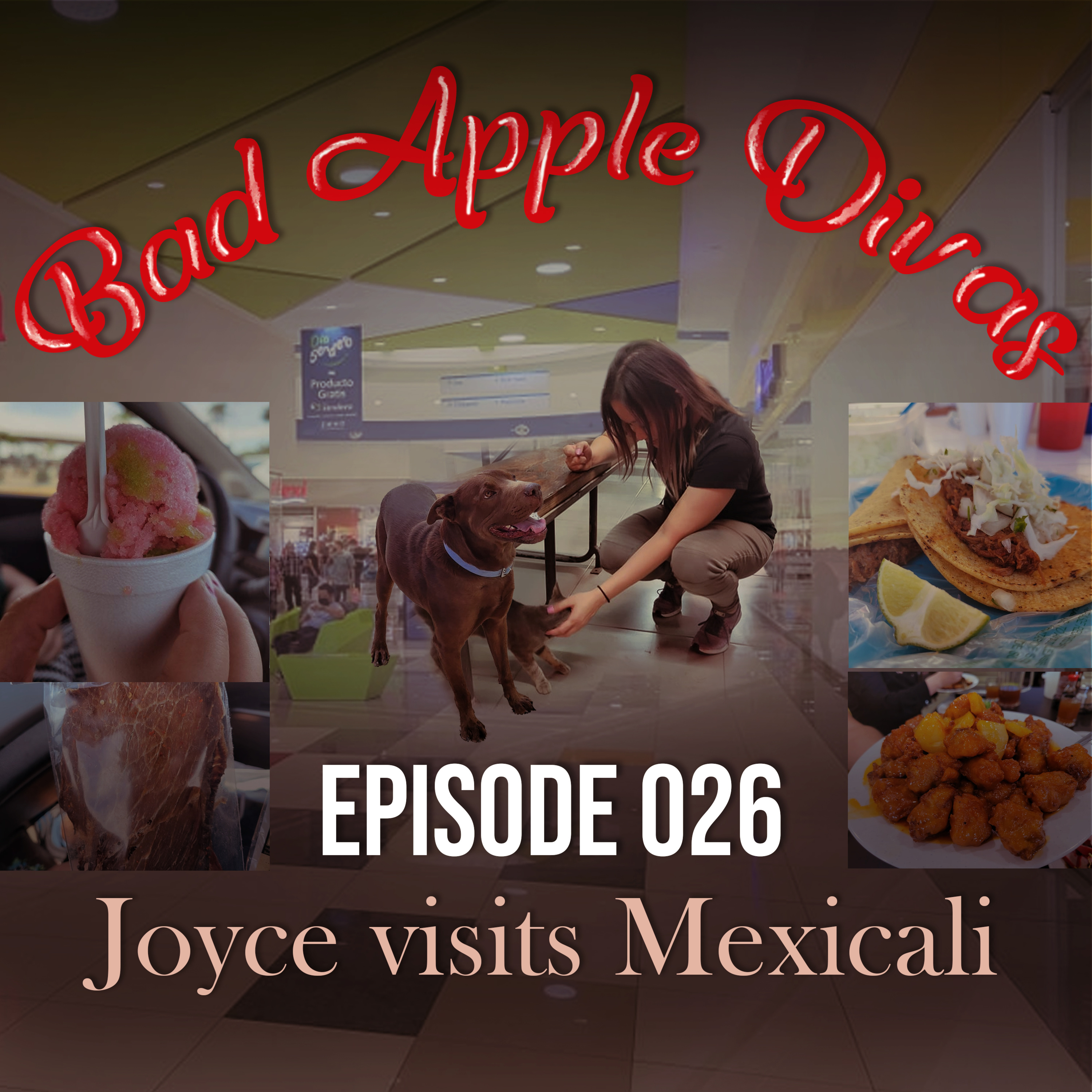 026 - Joyce visits Mexicali episode artwork