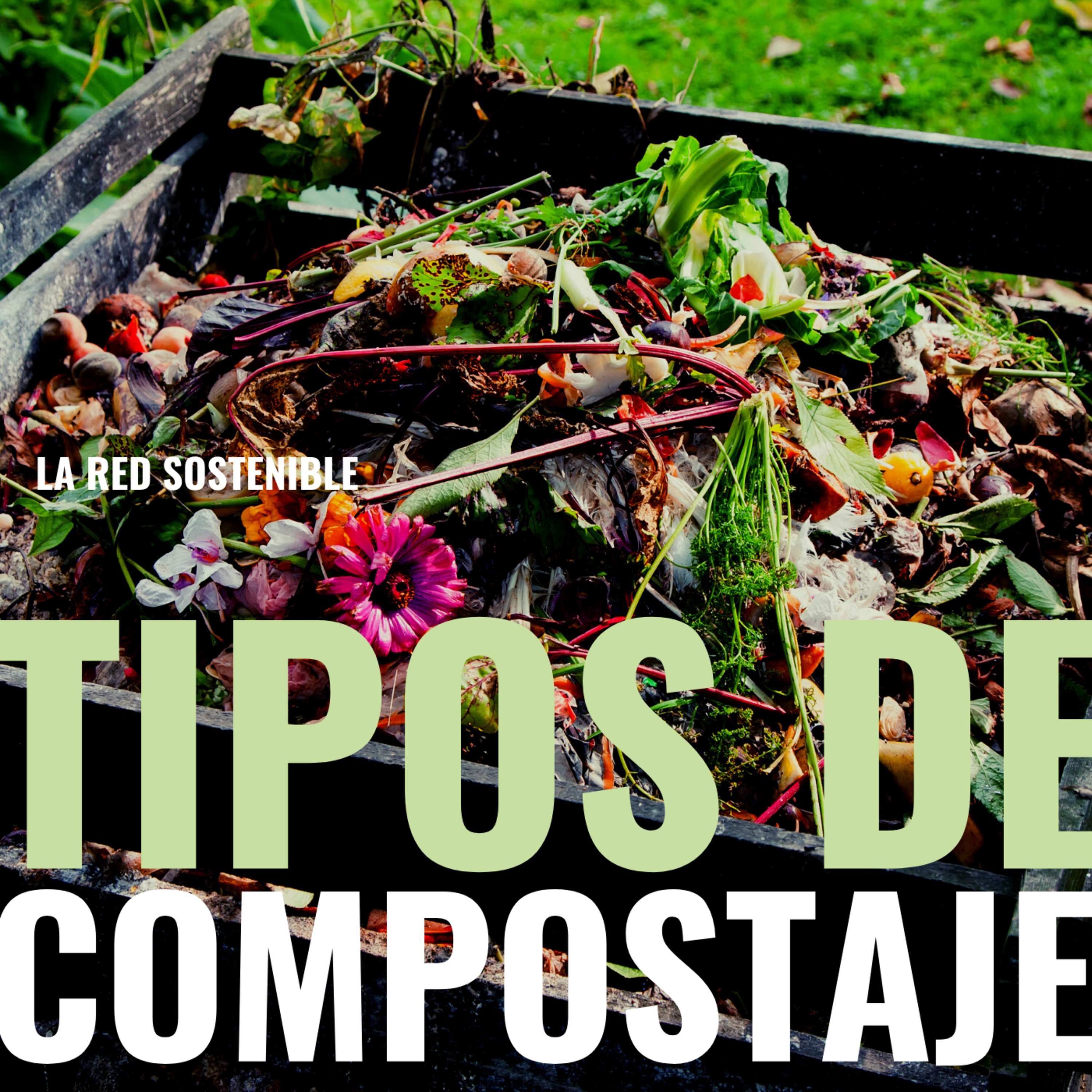 Mejoremos nuestros hábitos. Tipos de compostaje  episode artwork