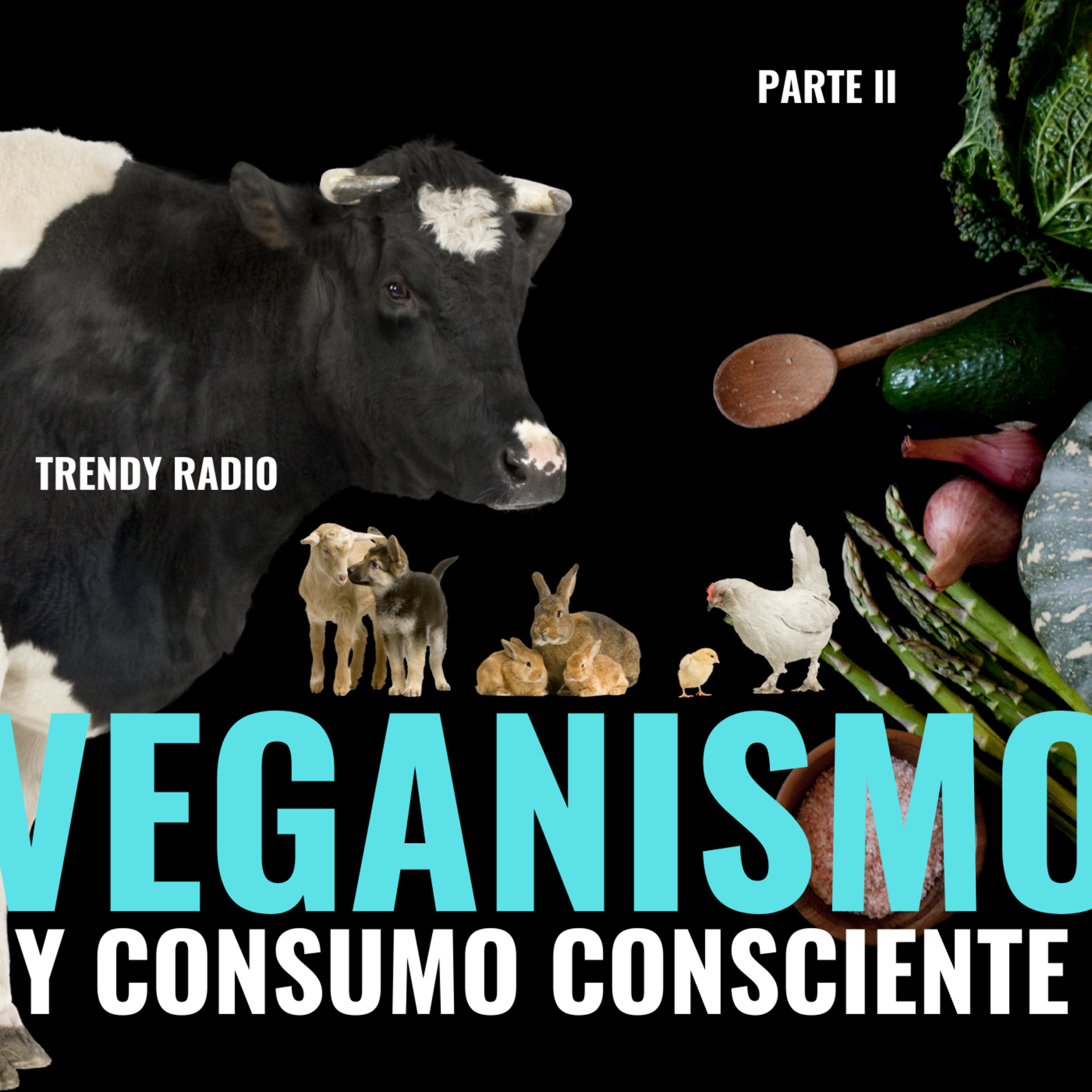 Veganismo y consumo consciente parte II: beneficios y consejos para adoptar este estilo de vida episode artwork