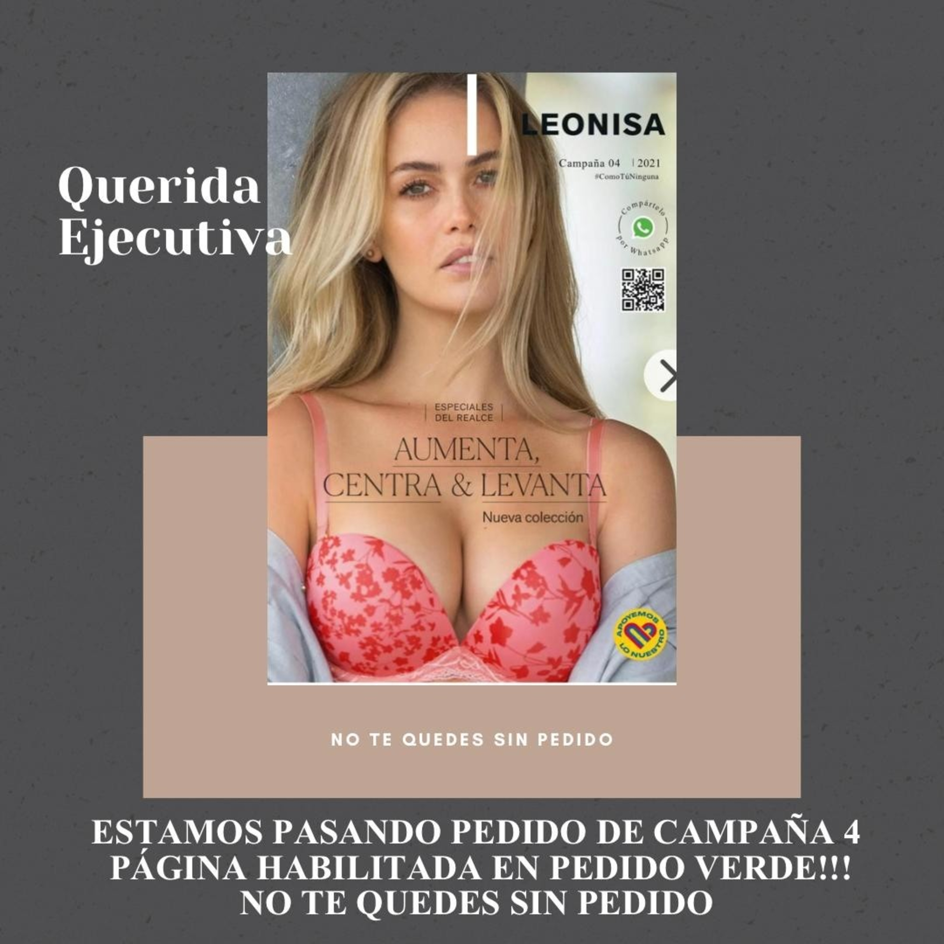 Campaña 4 episode artwork