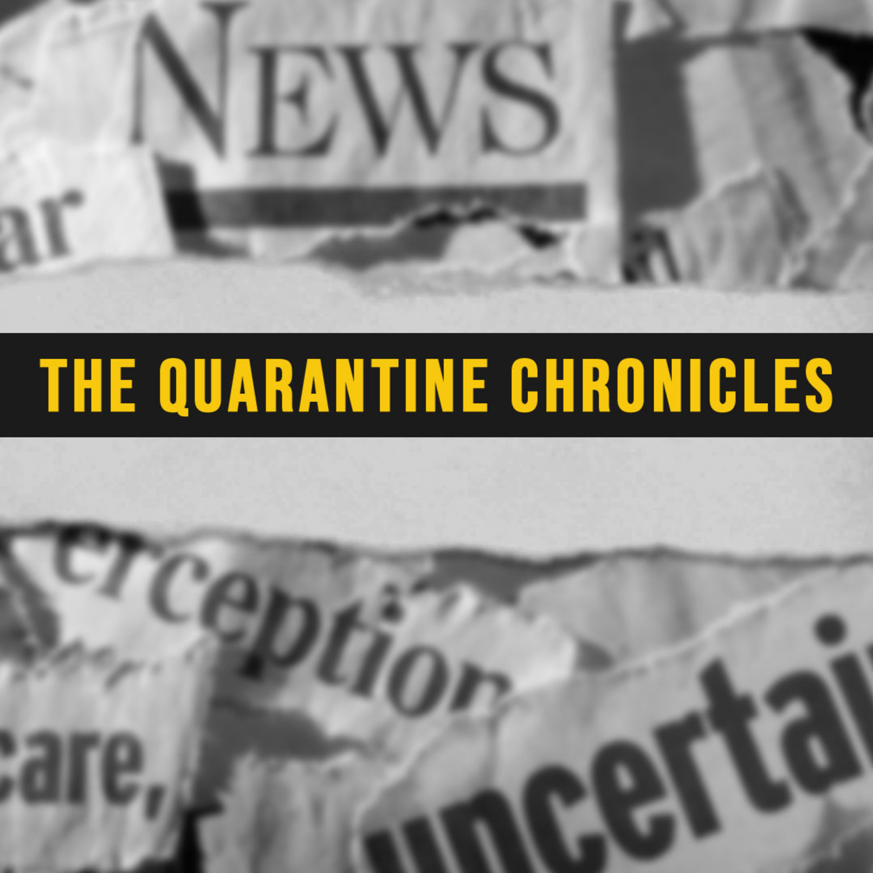 The Quarantine Chronicles, Part 2 "Mysterious Joy" // Alan Briggs, Guest Speaker episode artwork