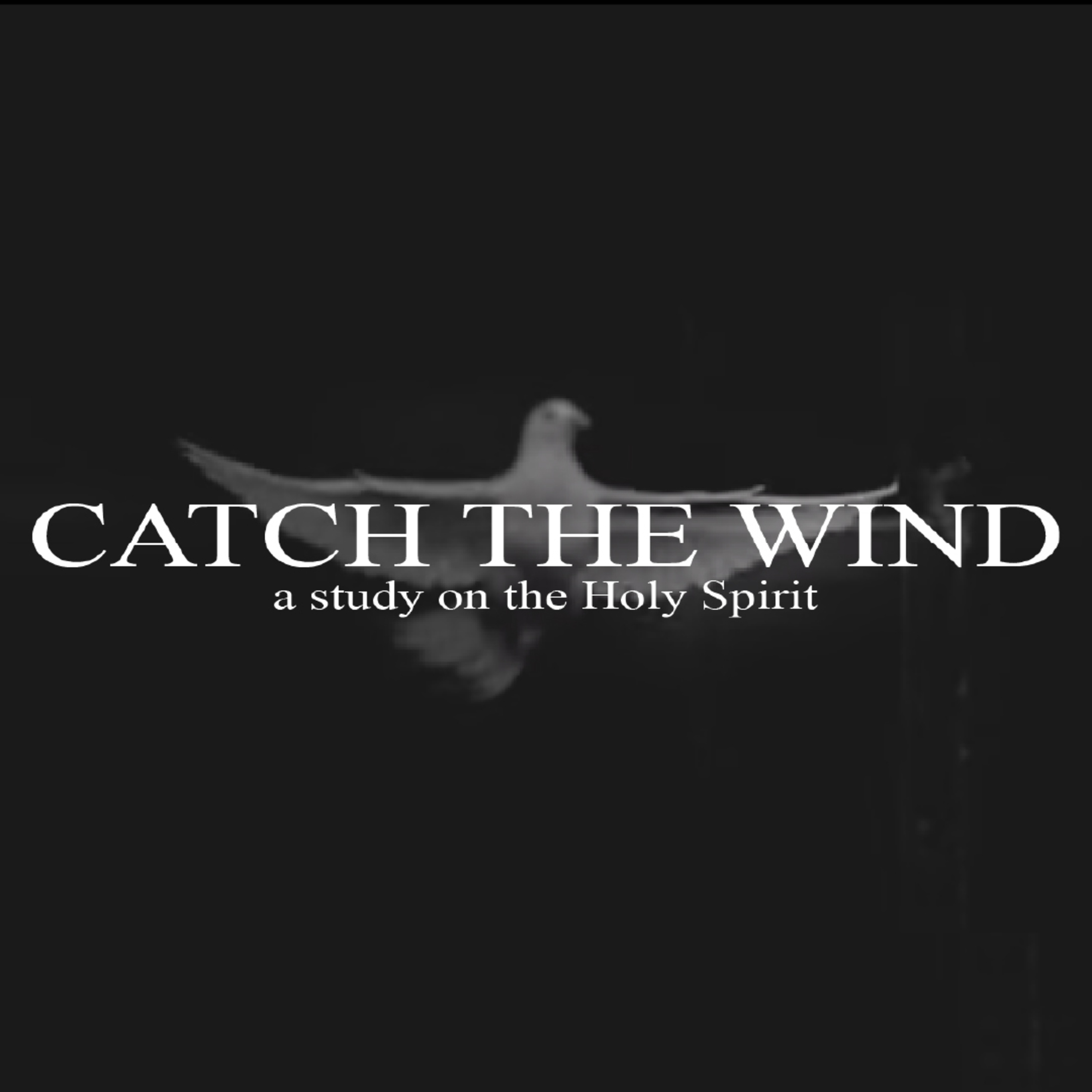 Holy Spirit: Gift or Gimmicks? | Catch The Wind | Aaron Pennington - Lead Pastor episode artwork