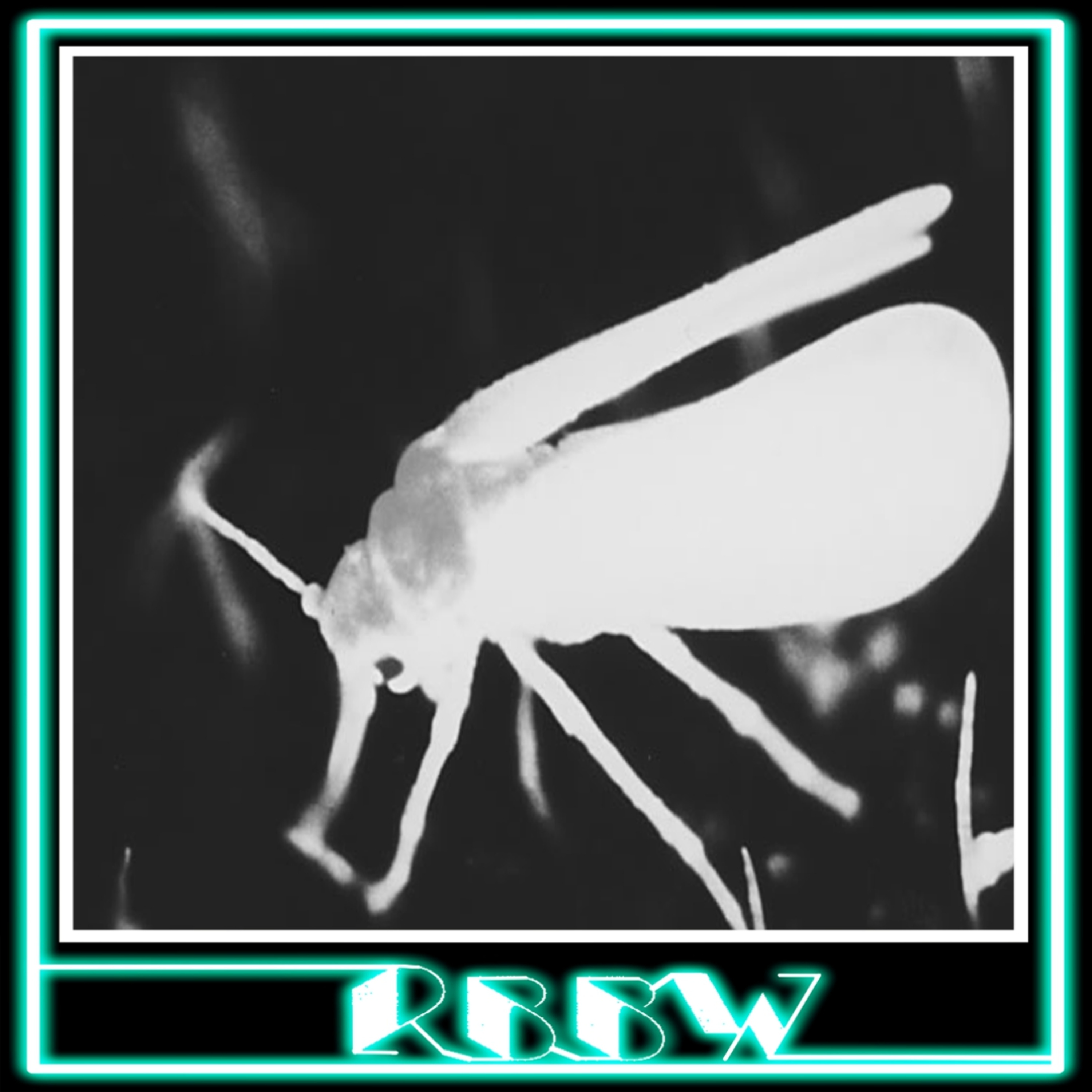 Radio Bye-Bye Weimar 10/Agosto/2022 (Moscas) episode artwork