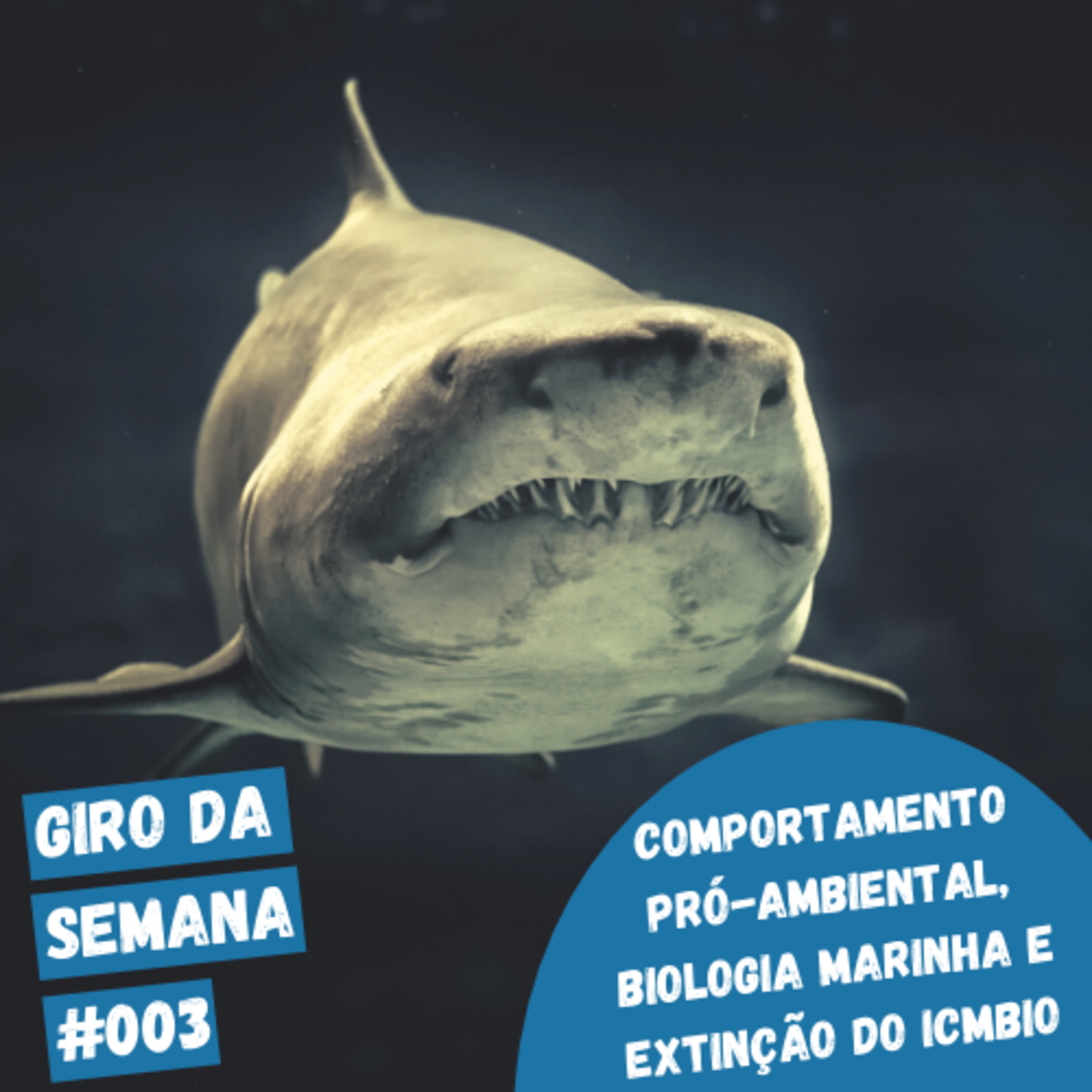 EcoNaturae - Educação Ambiental