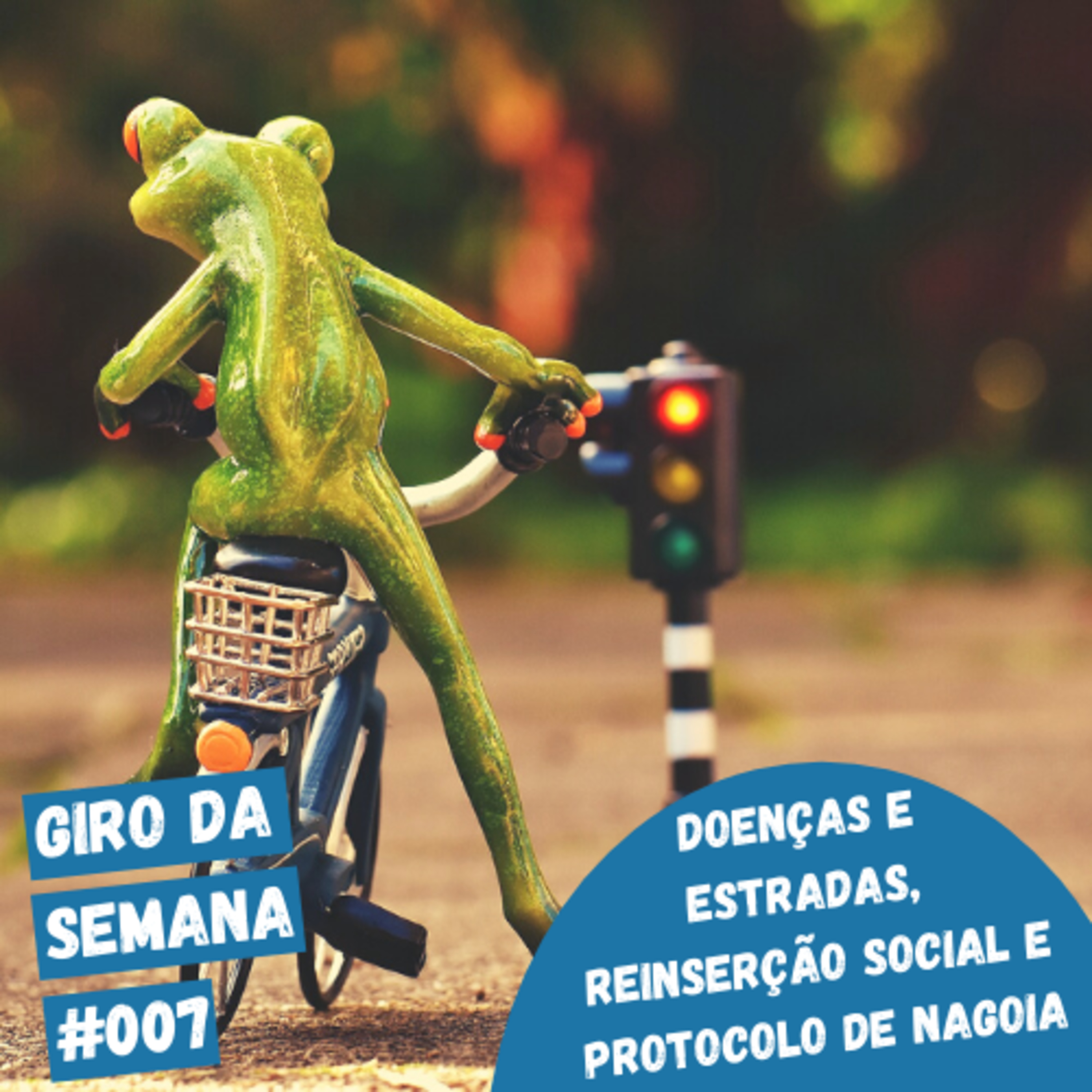 EcoNaturae - Educação Ambiental