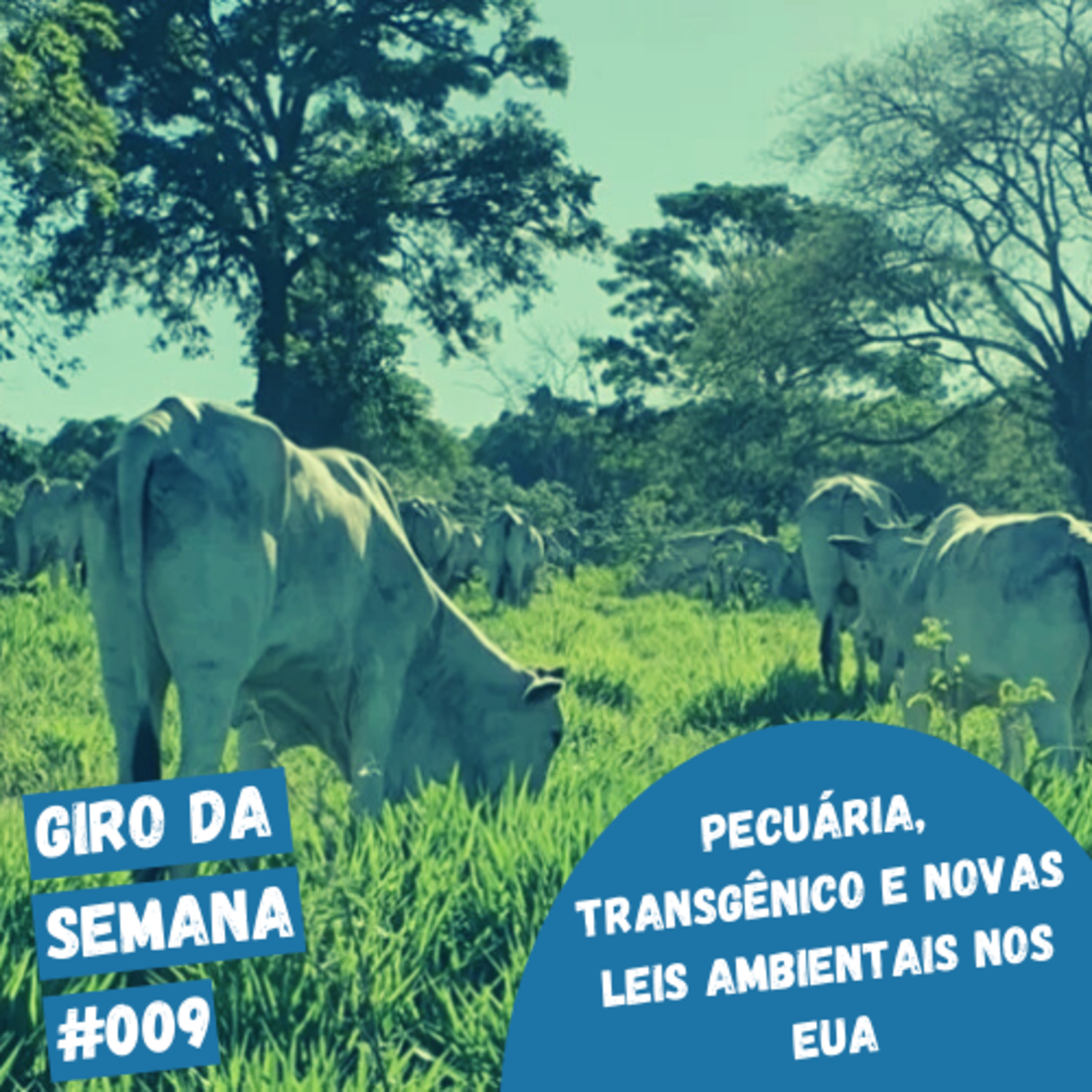 EcoNaturae - Educação Ambiental