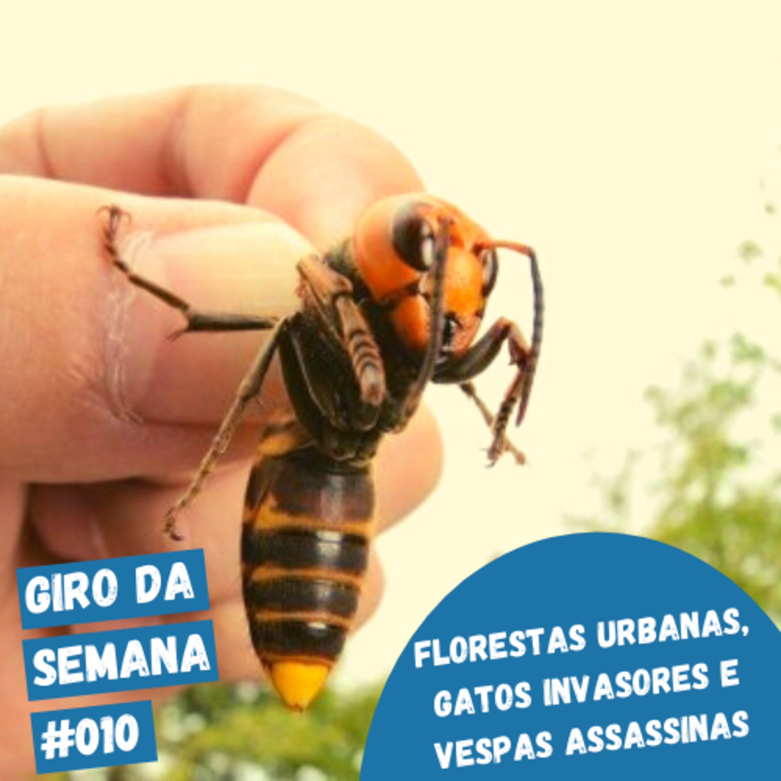 EcoNaturae - Educação Ambiental