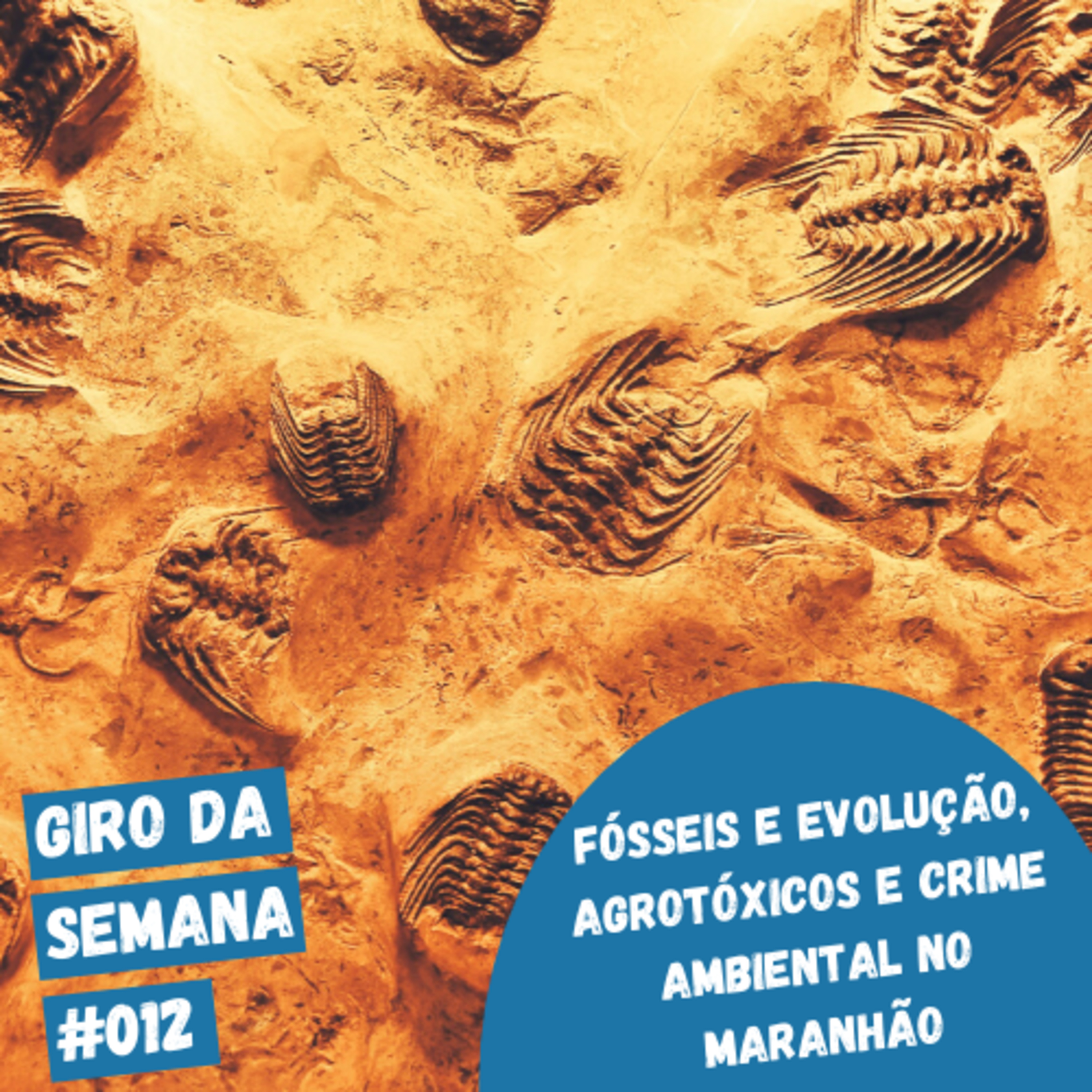 EcoNaturae - Educação Ambiental